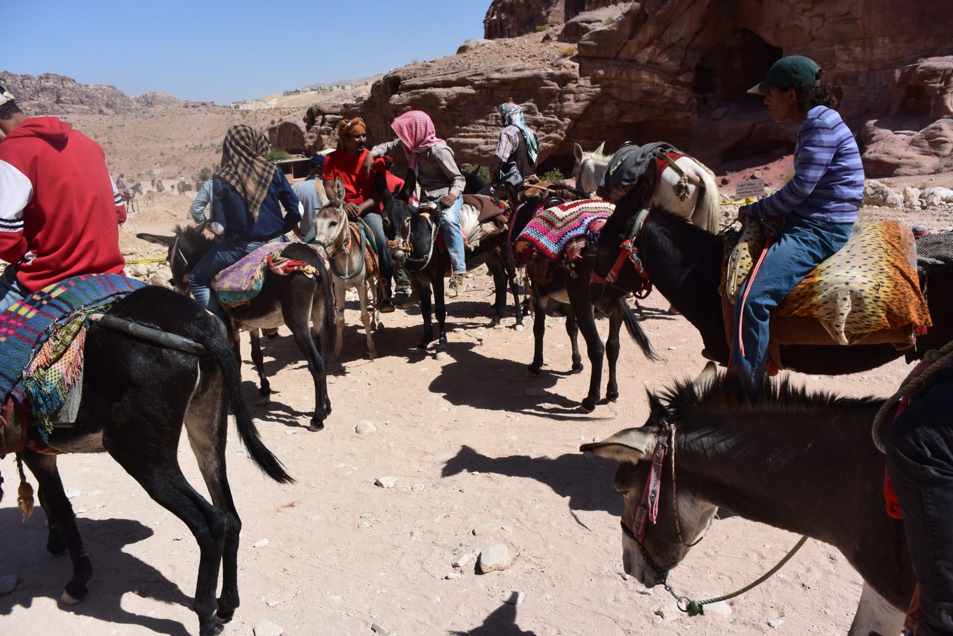 a group of people riding donkeys in a desert