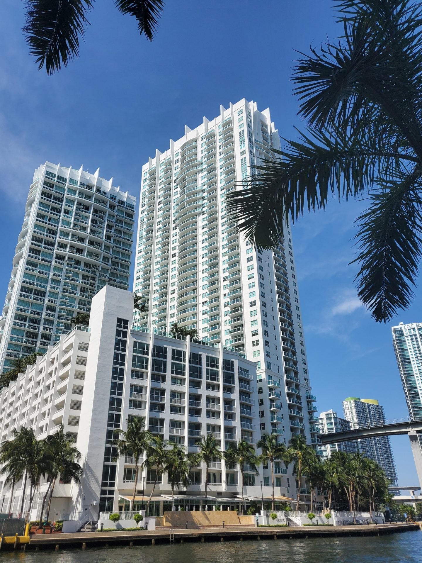 a group of tall buildings with palm trees