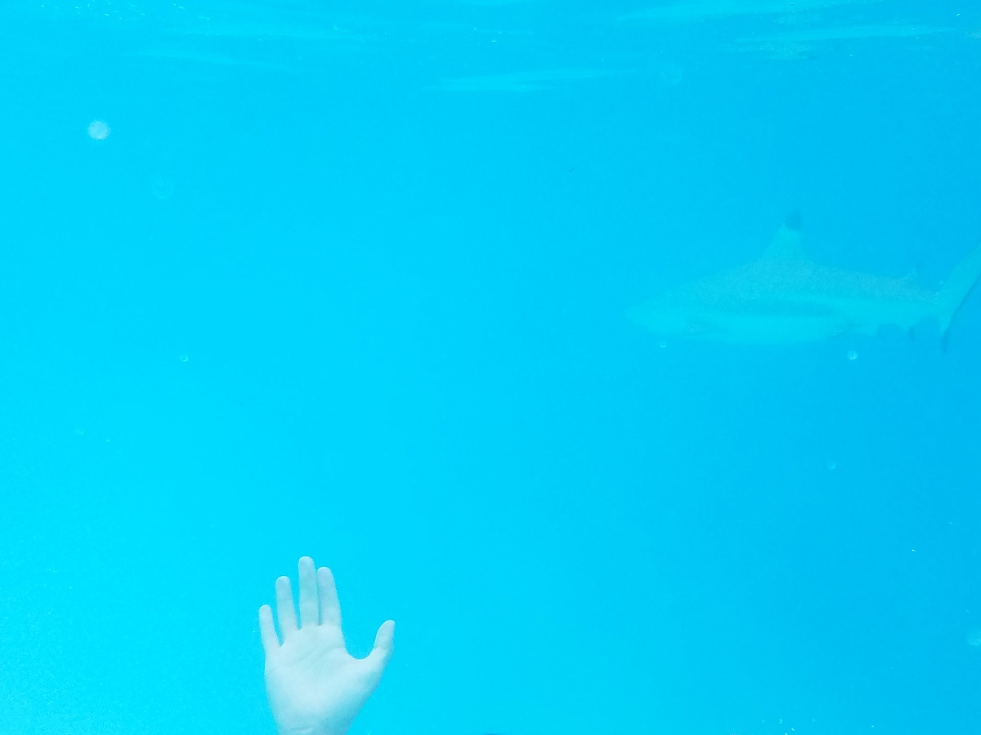 a person swimming under water with a hand up