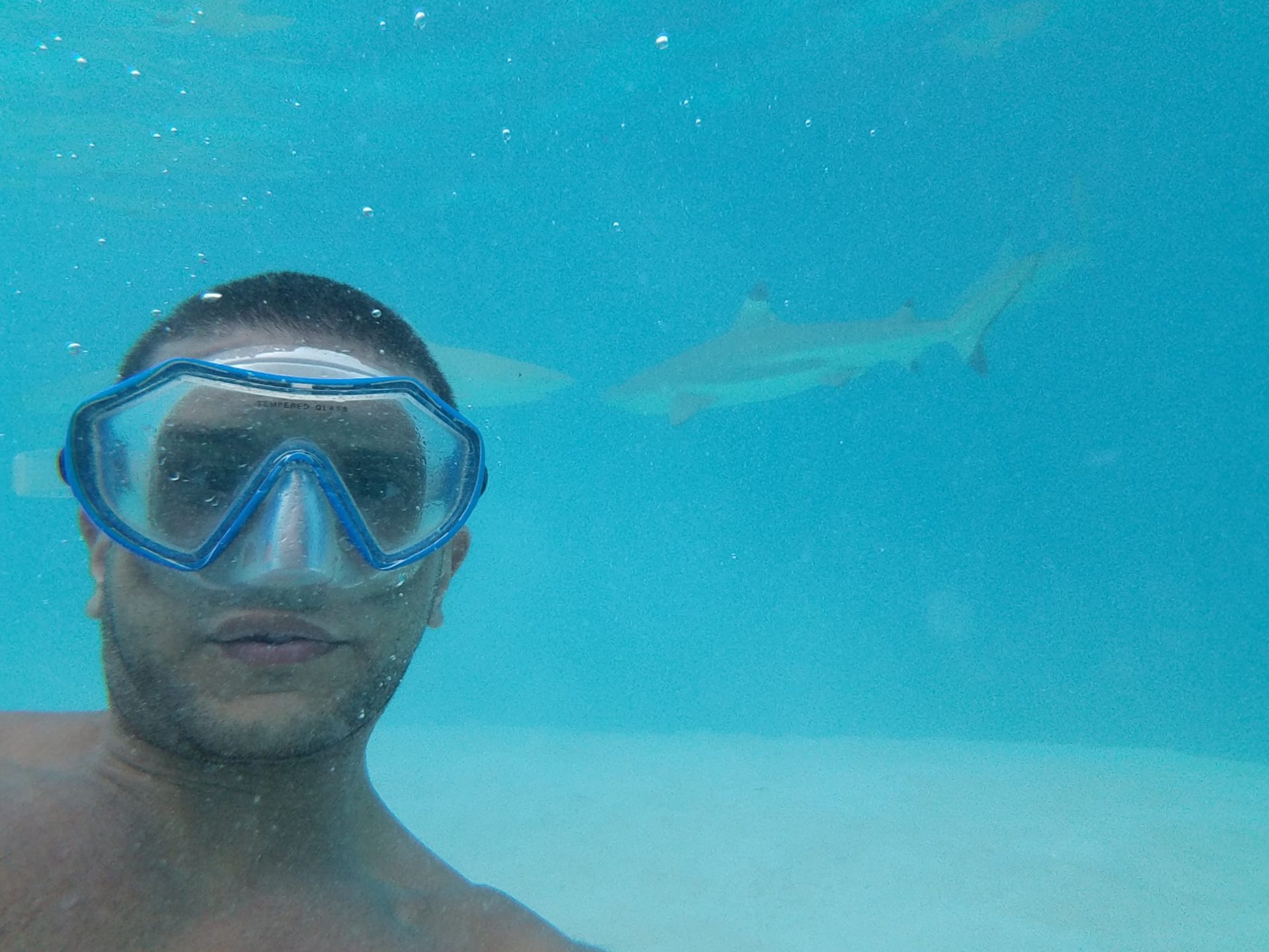 a man in goggles underwater with a shark