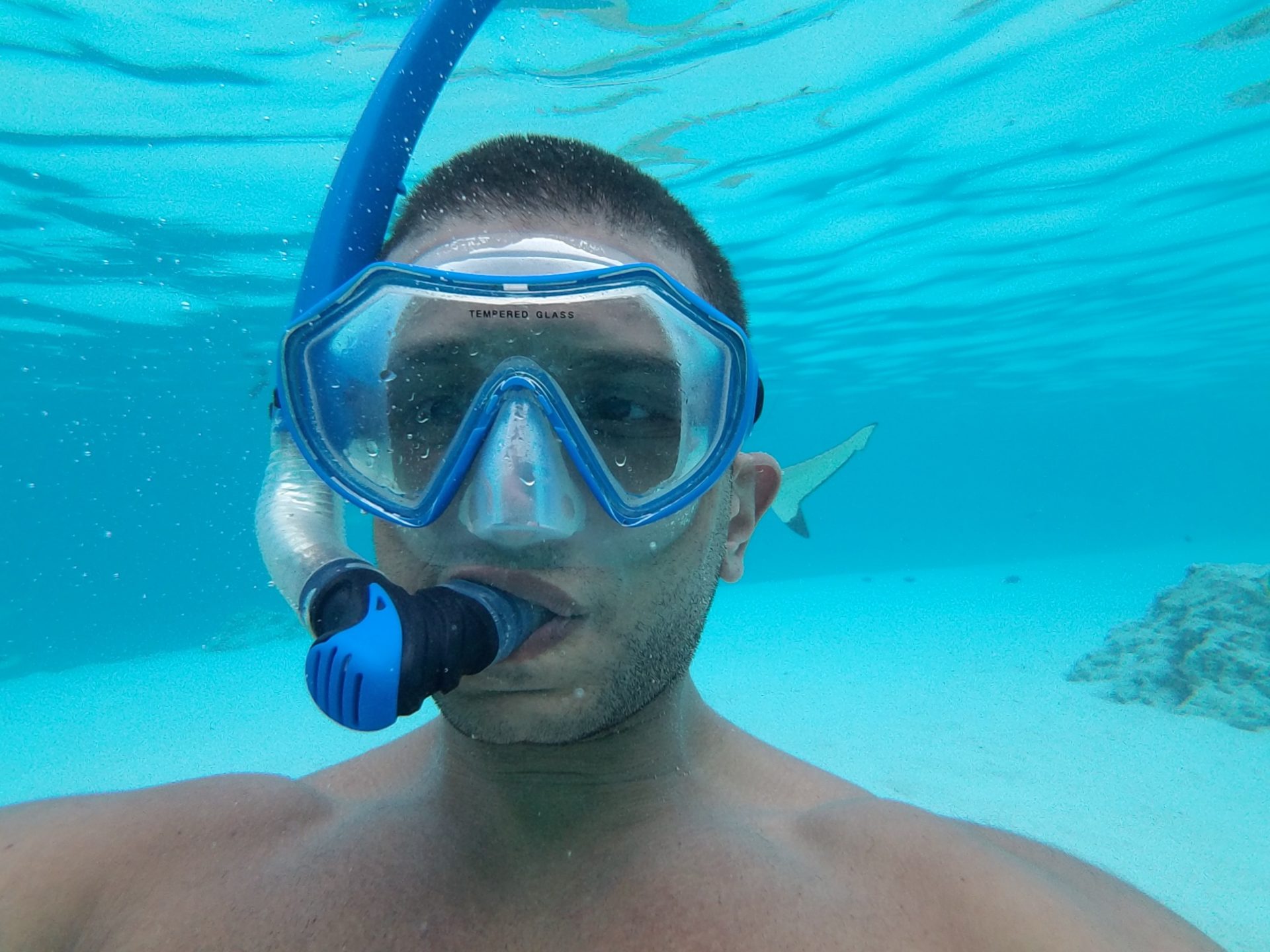 a man wearing goggles and snorkeling