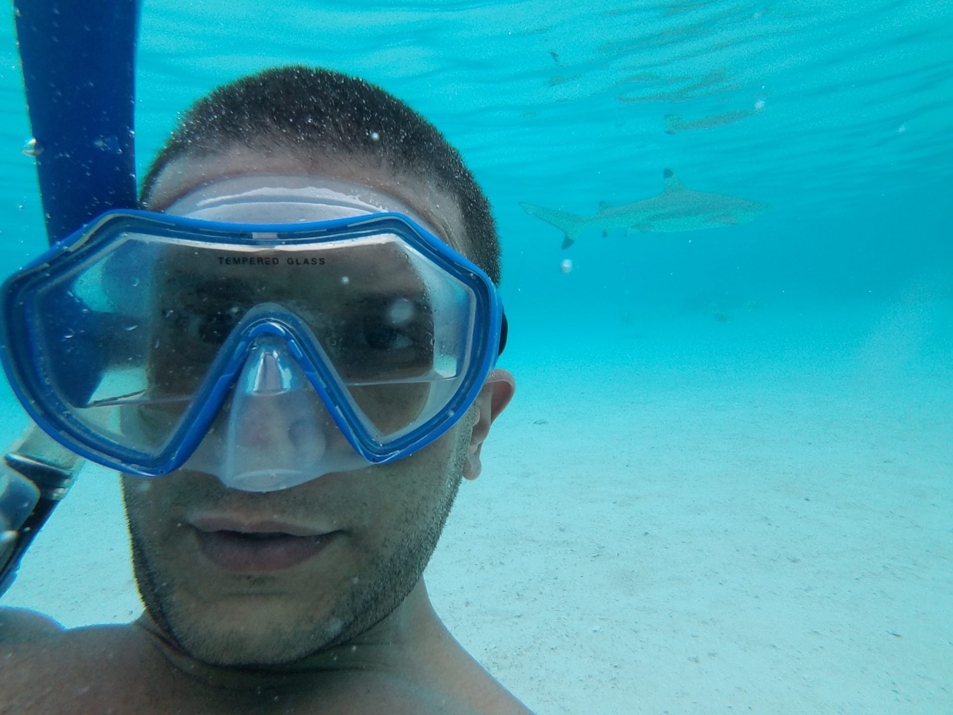 a man wearing goggles underwater