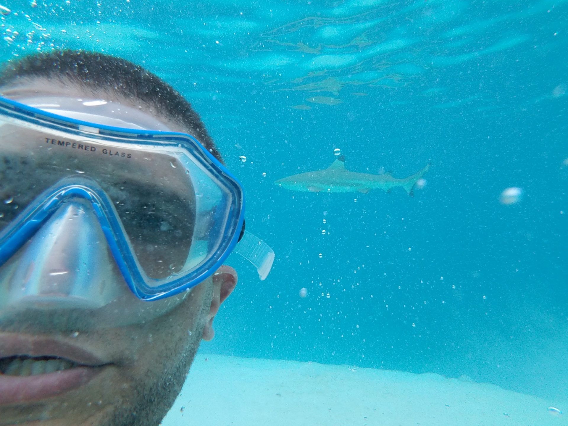 a man wearing goggles and swimming with a shark in the background
