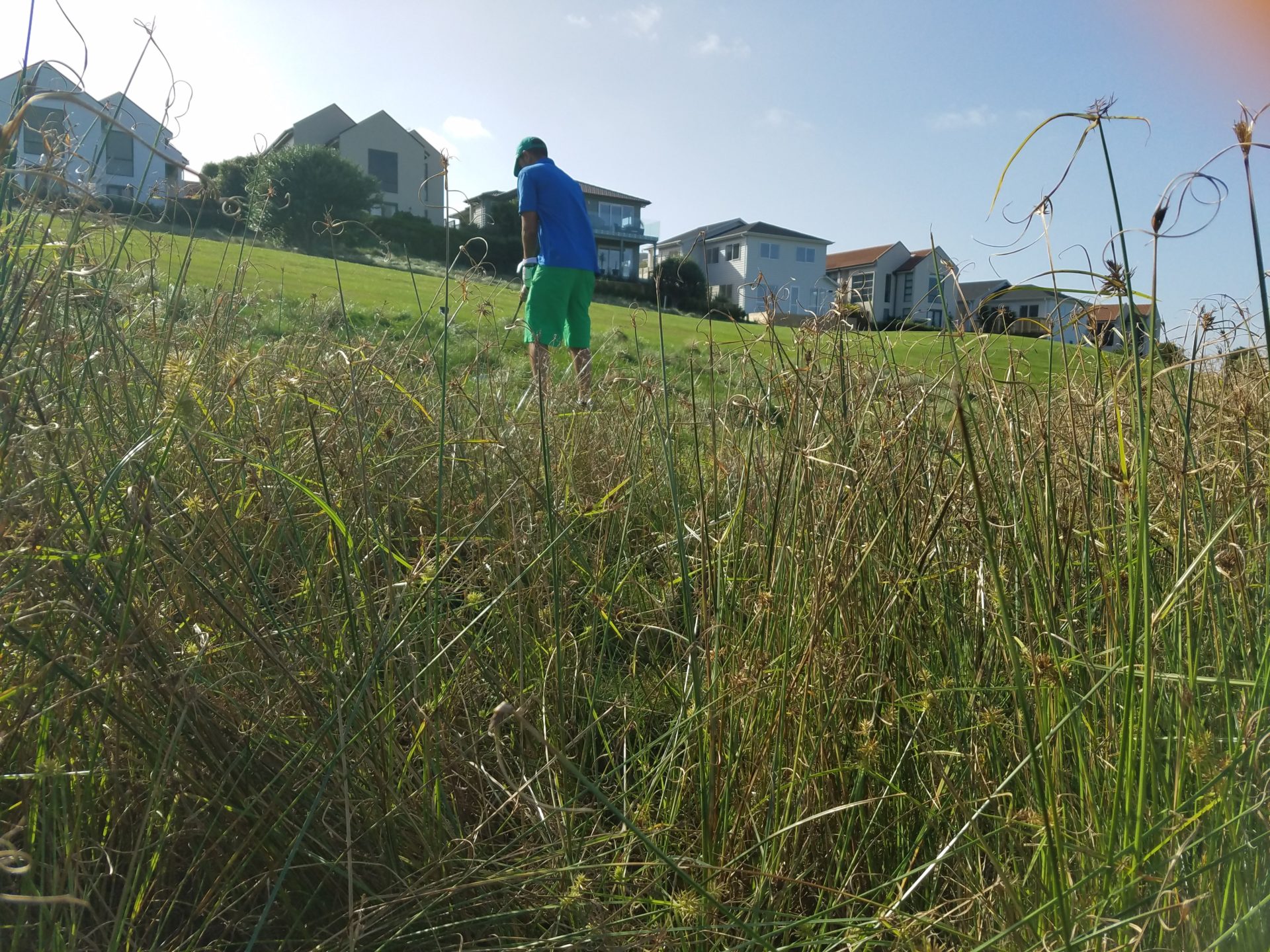 a man standing in a grassy field