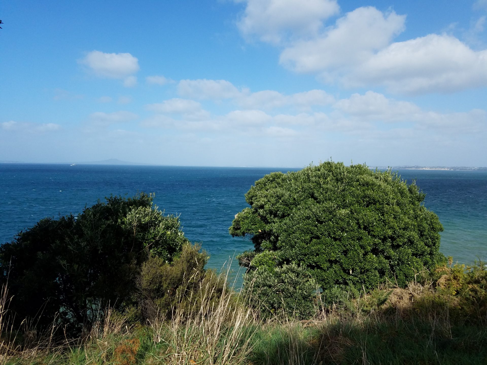 a view of the ocean from a hill with trees and bushes