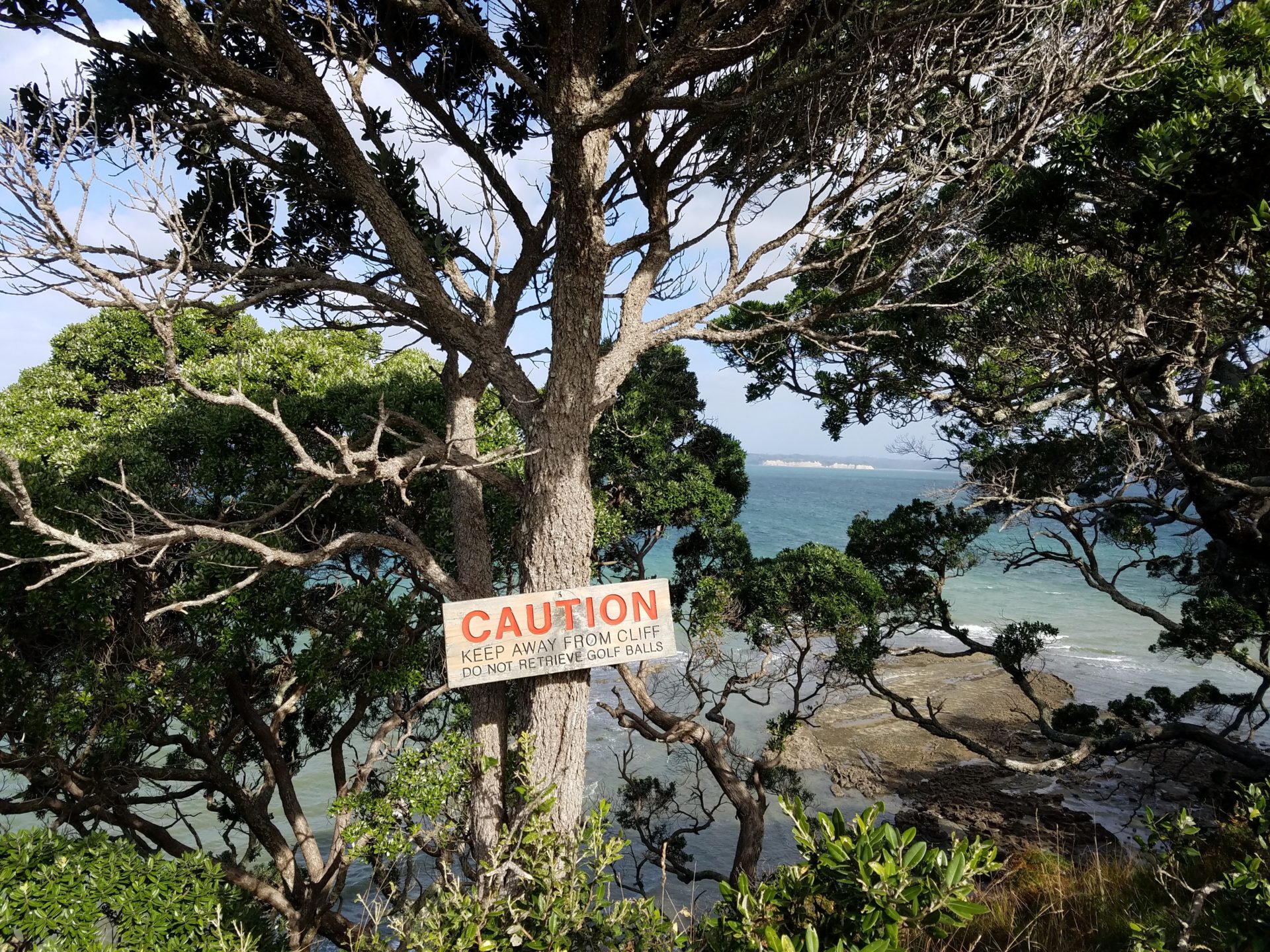 a sign on a tree by the water