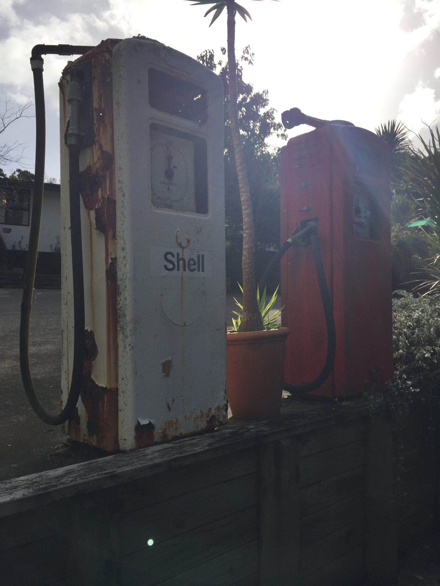 a rusted gas pump next to a plant