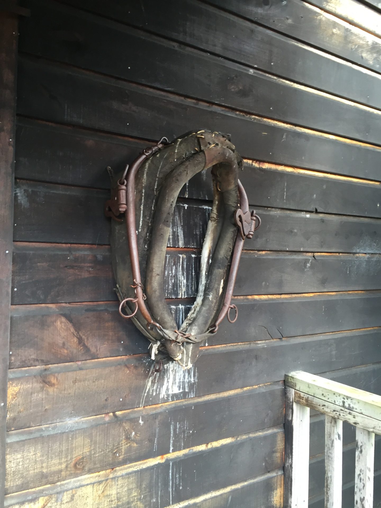 a horse collar on a wall