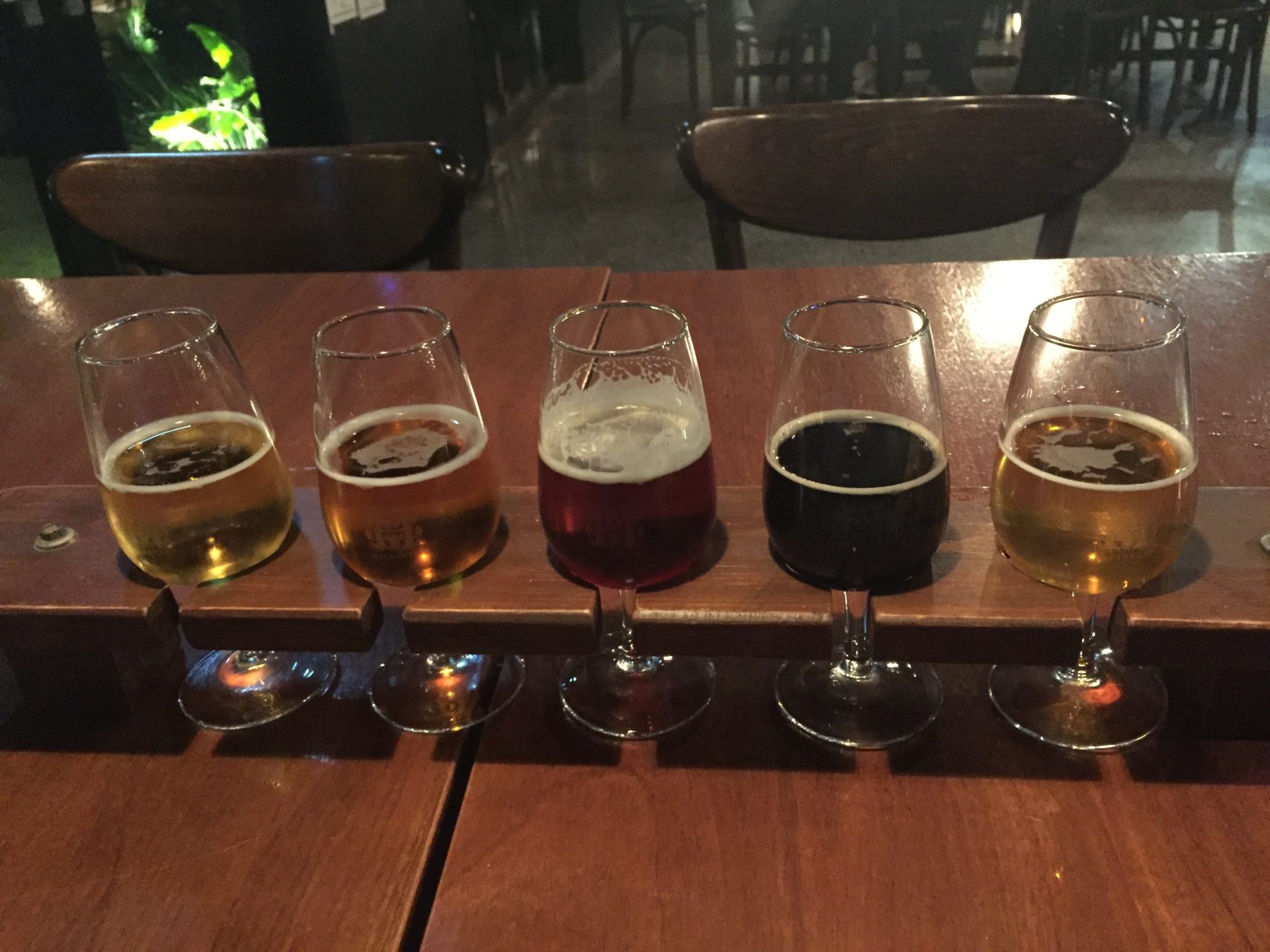 a row of glasses of beer on a table