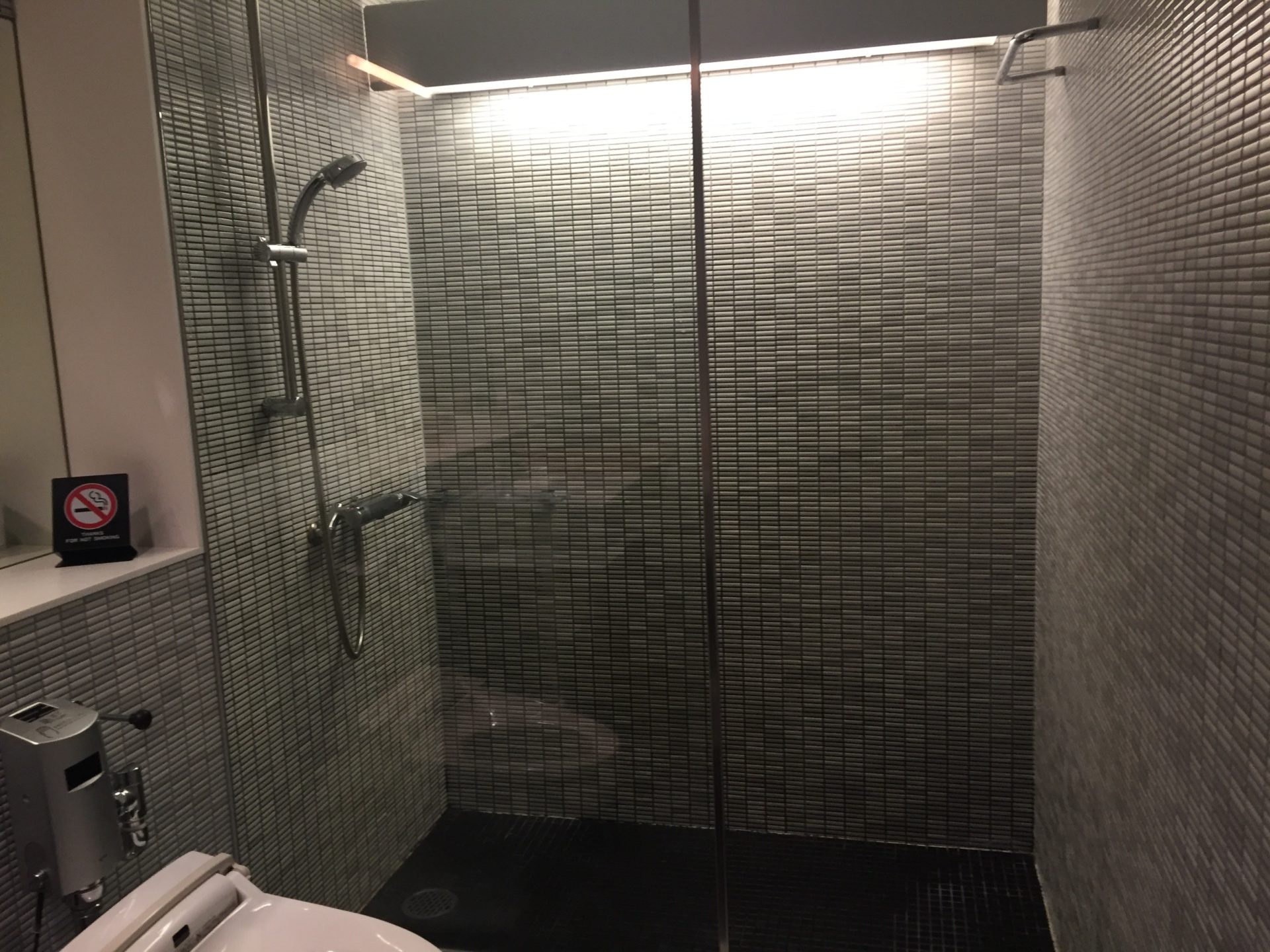 a shower with a toilet and a light