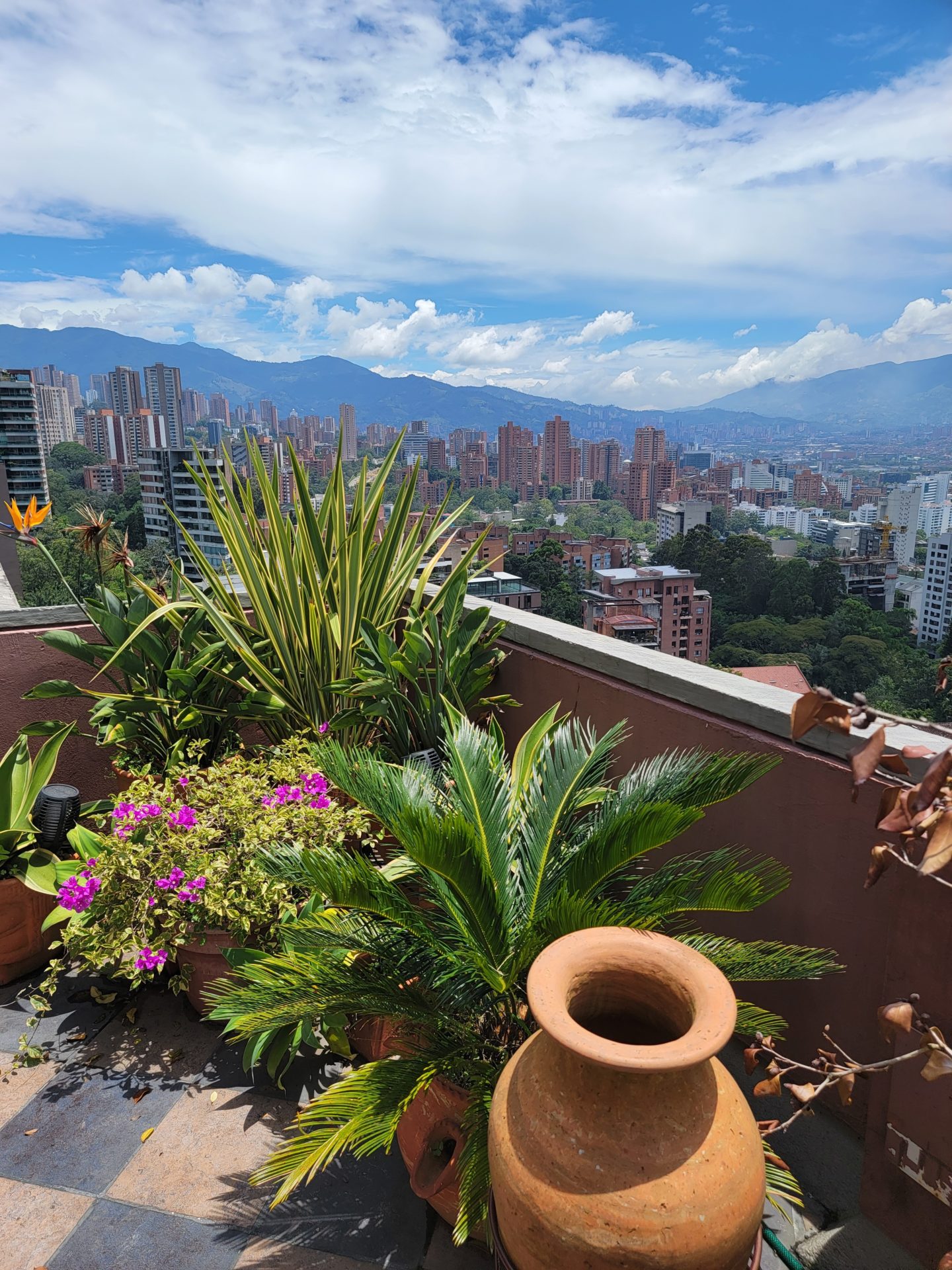a balcony with plants and a city in the background