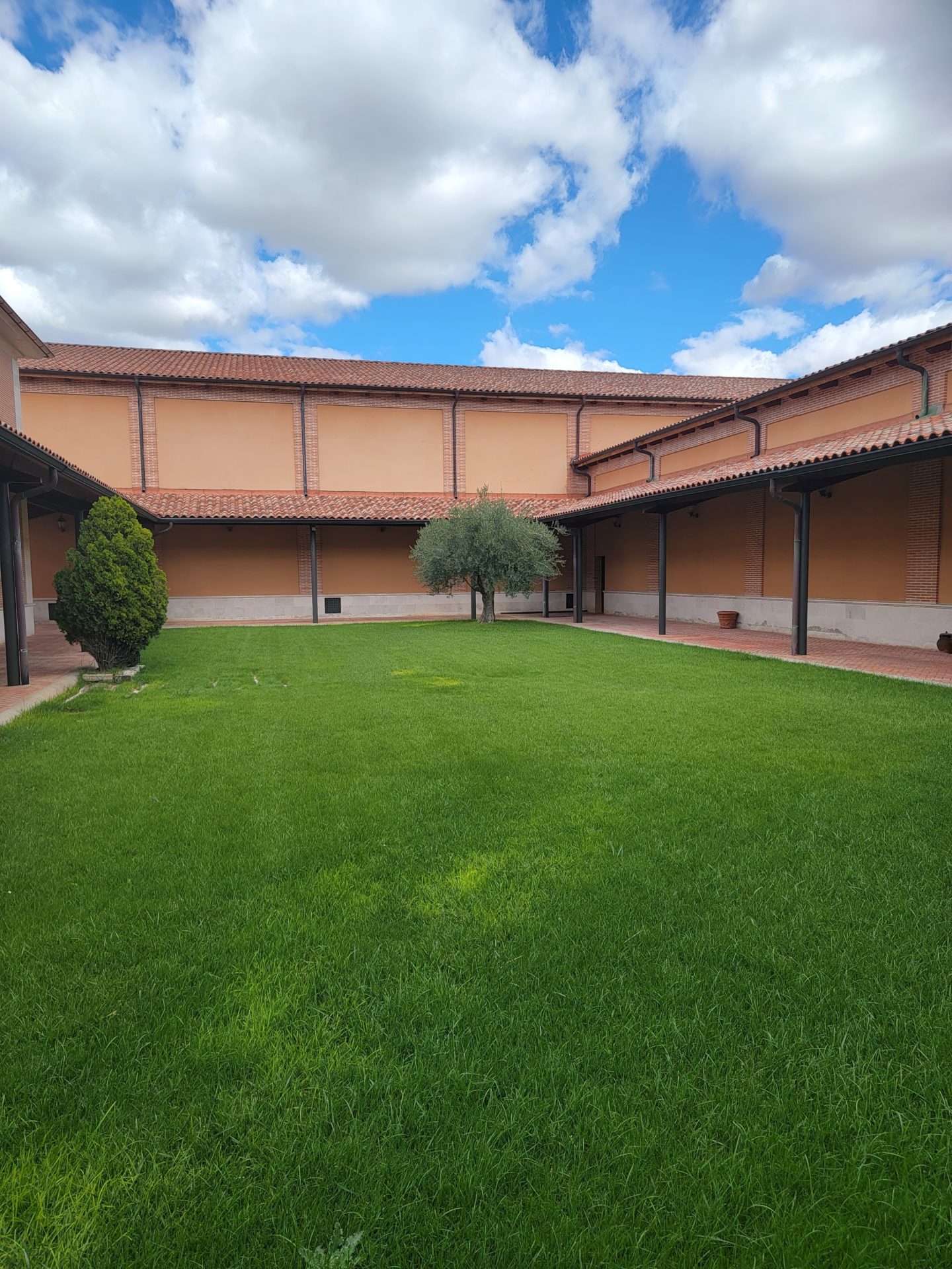 a courtyard with a tree and grass