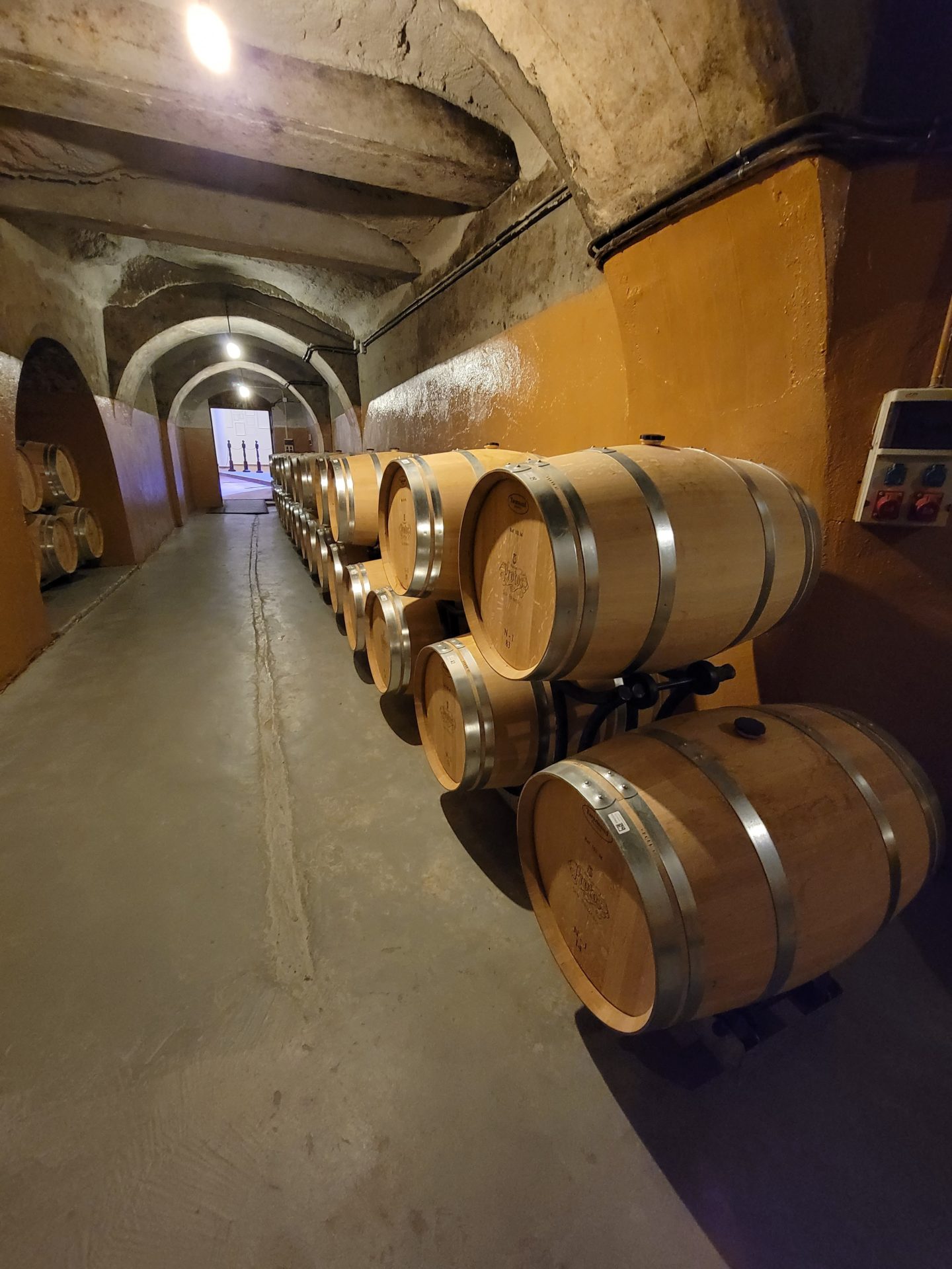 a row of barrels in a cellar
