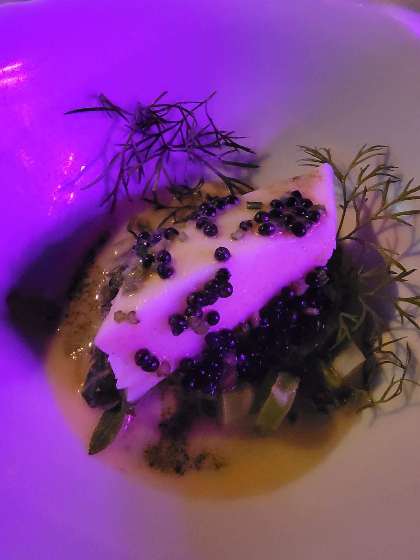 a plate of food with purple light