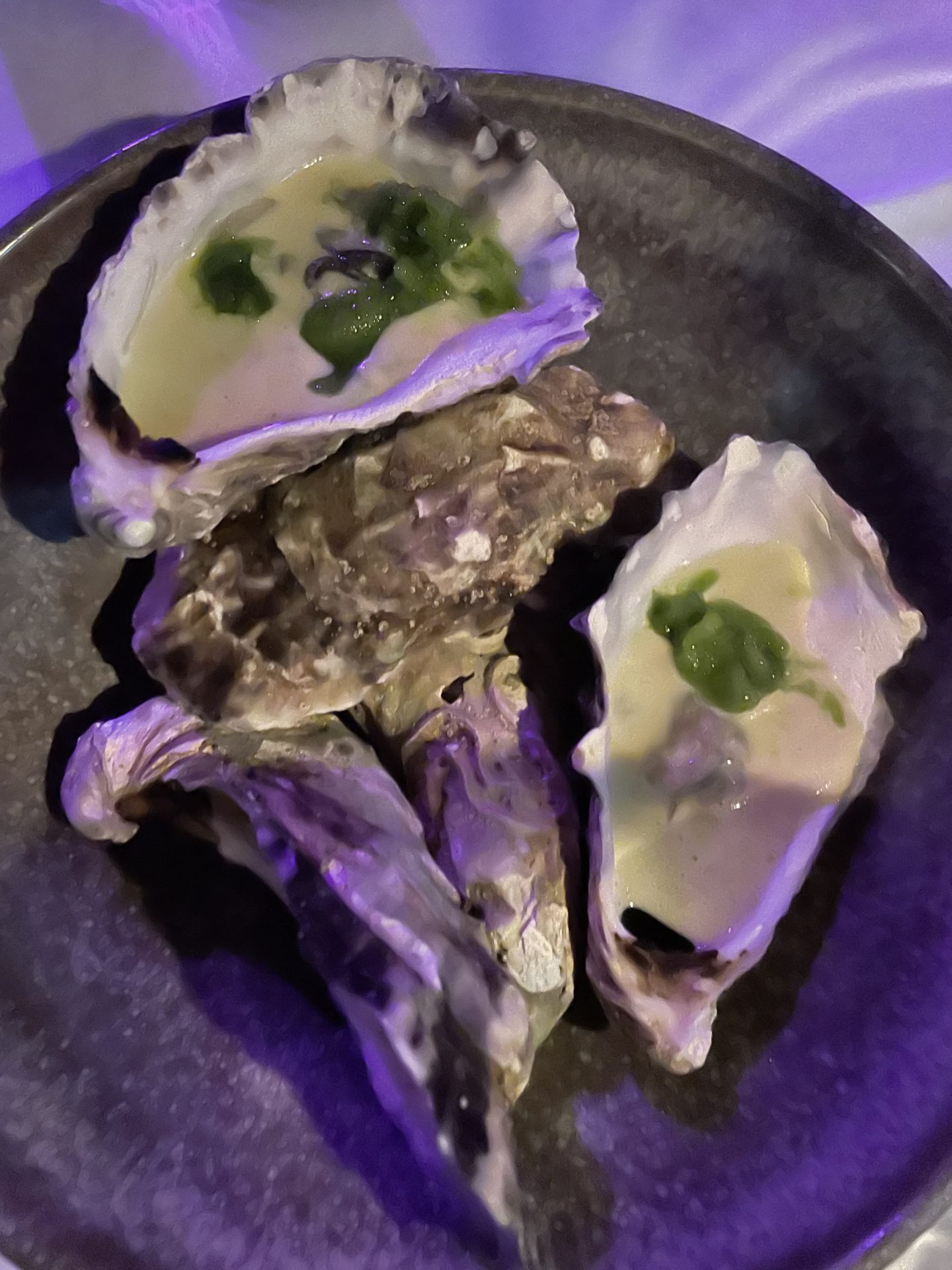 a plate of oysters with sauce