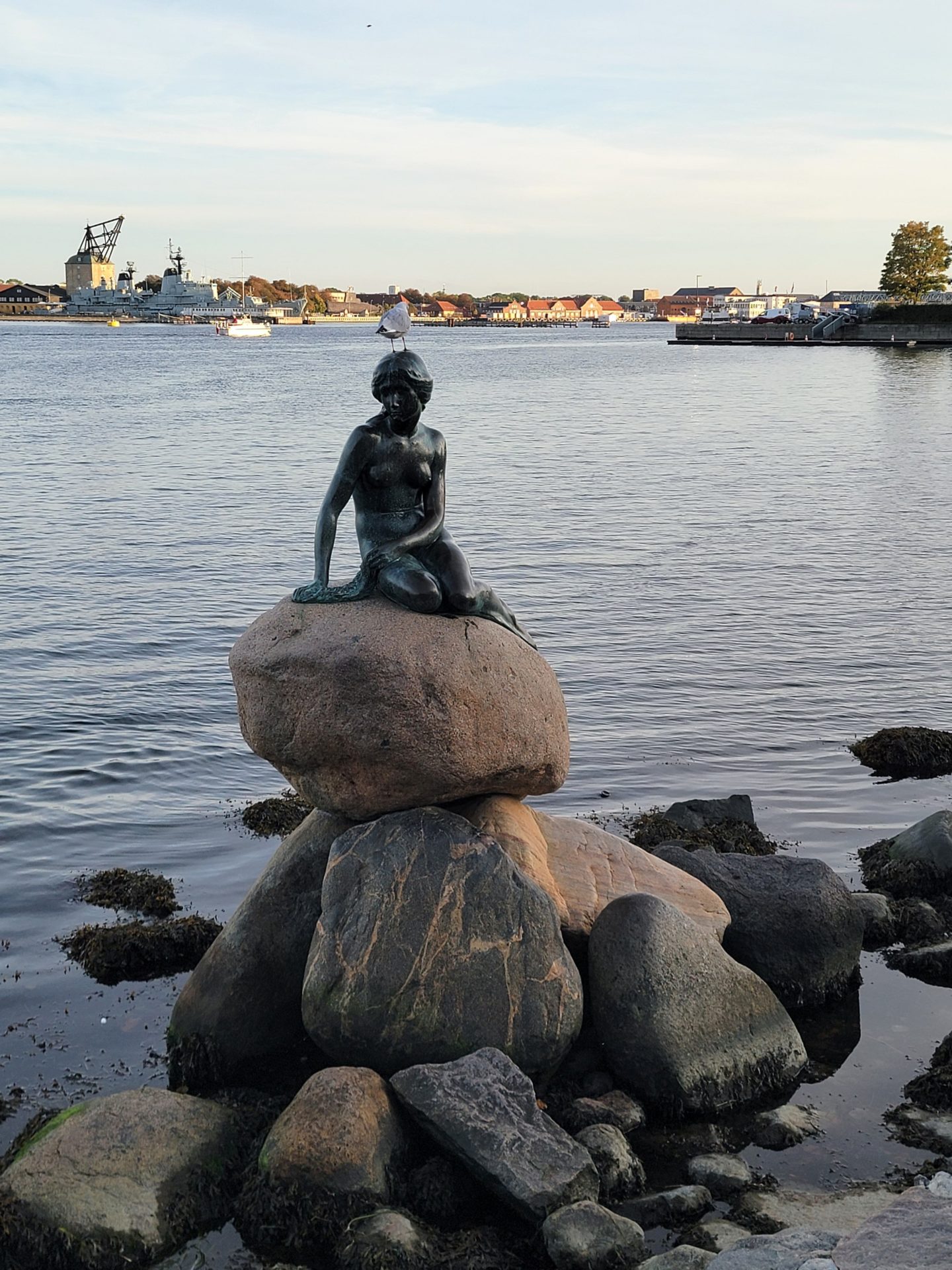 a statue of a mermaid on a rock with The Little Mermaid in the background