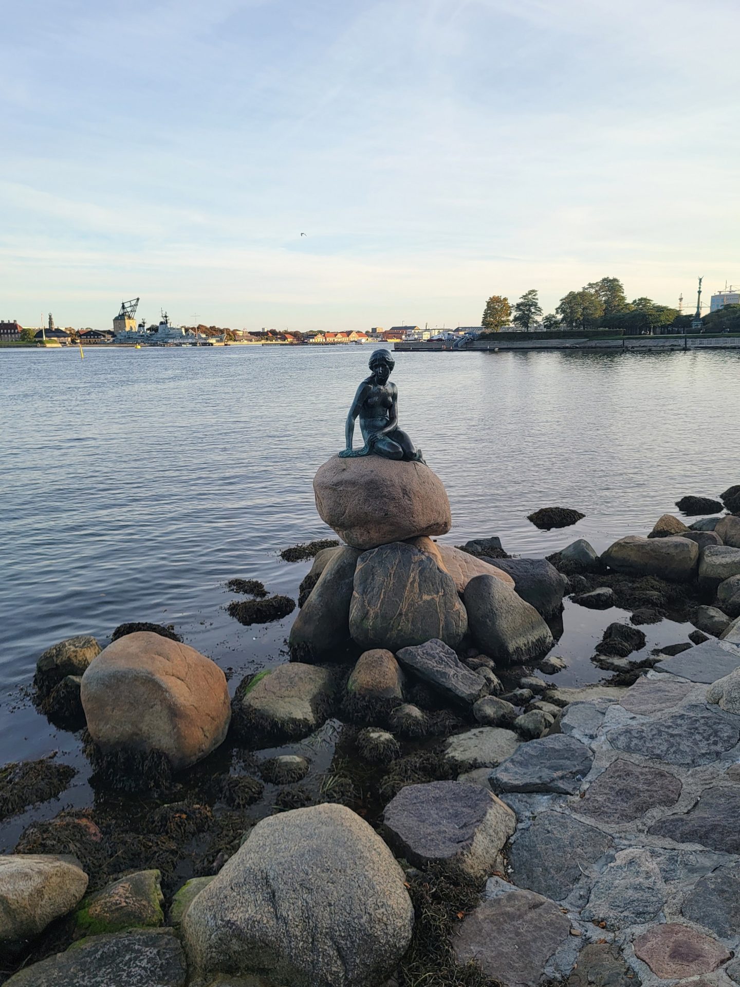 a statue of a mermaid on a rock by a body of water with The Little Mermaid in the background