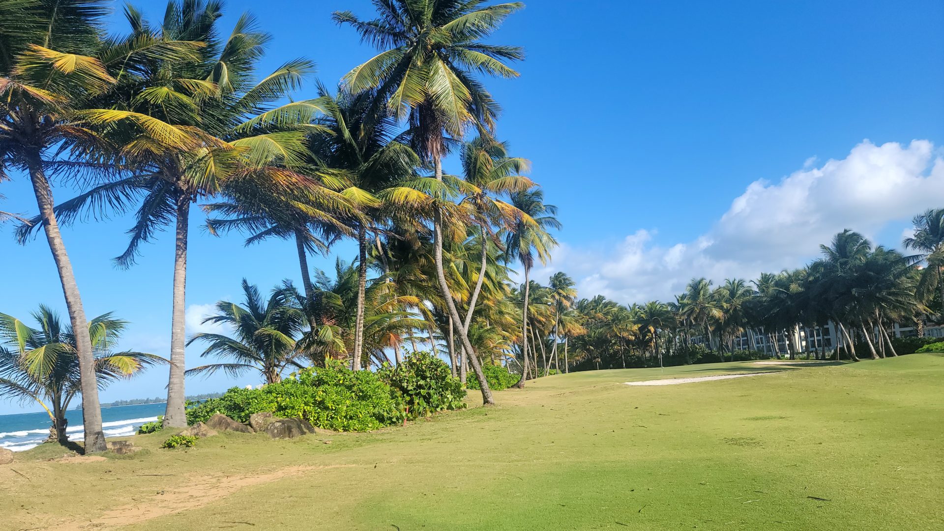 a golf course with palm trees and blue sky