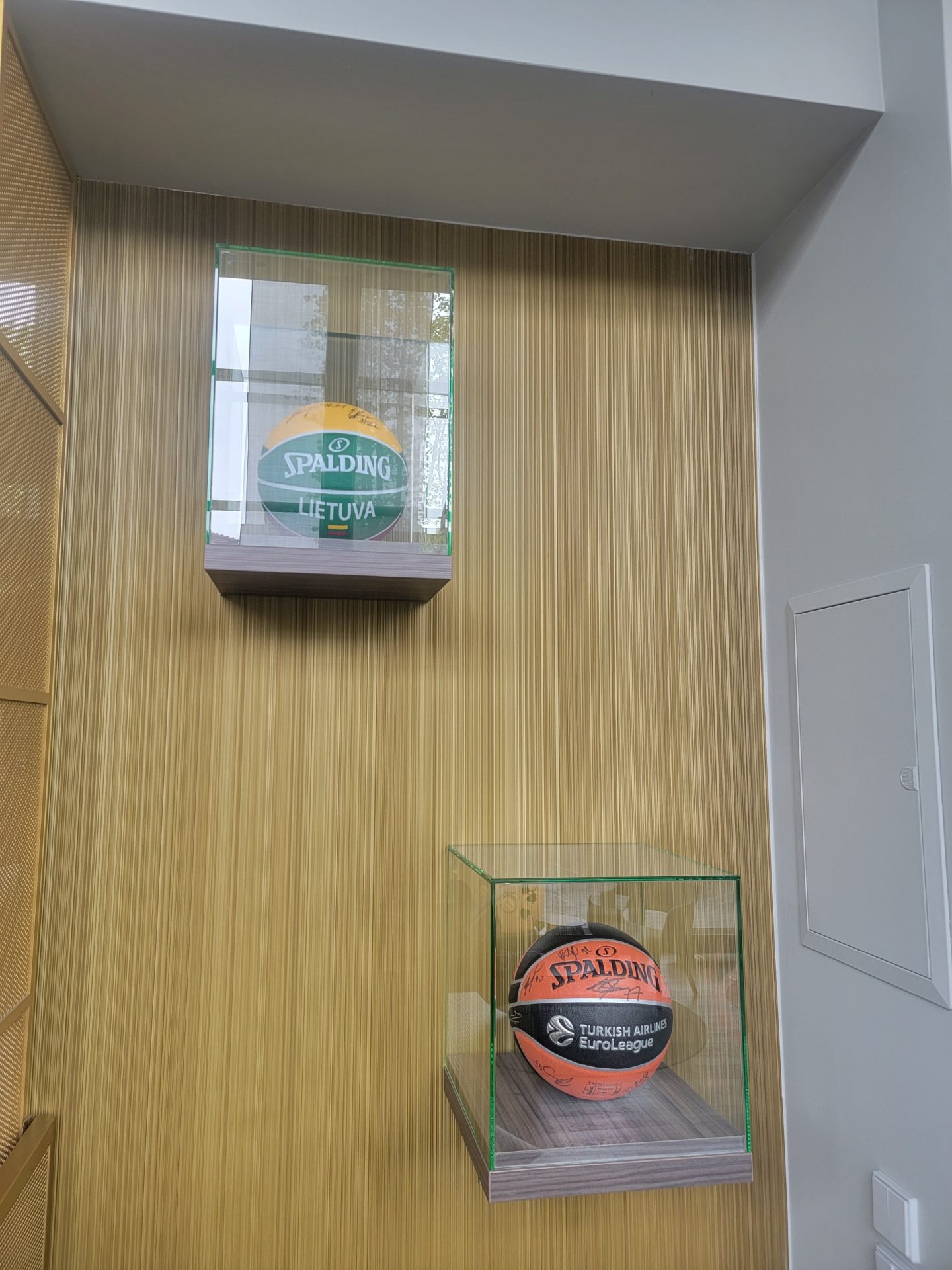 a basketballs in glass cases on a wall