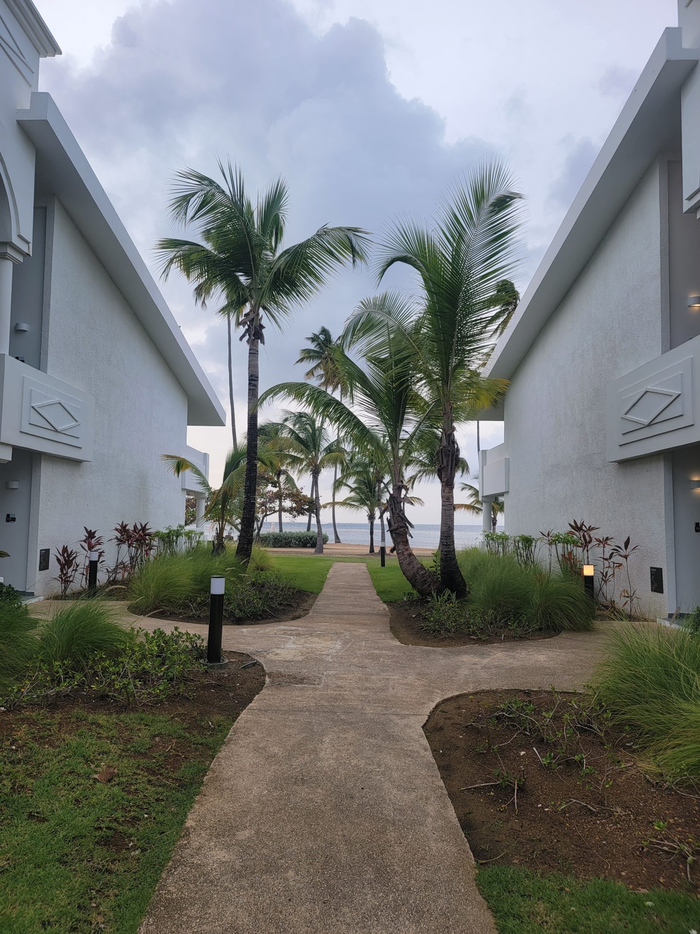 a walkway between two white buildings with palm trees