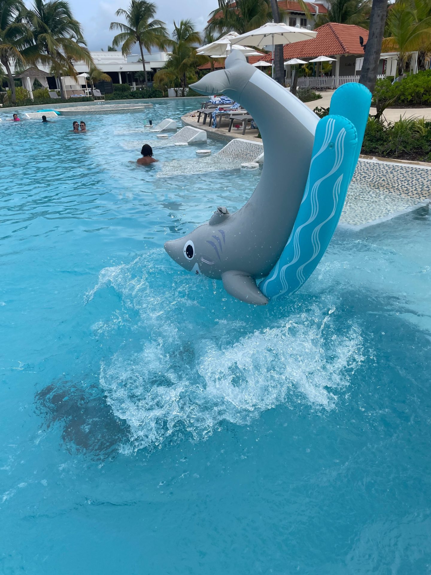 a inflatable dolphin in a pool