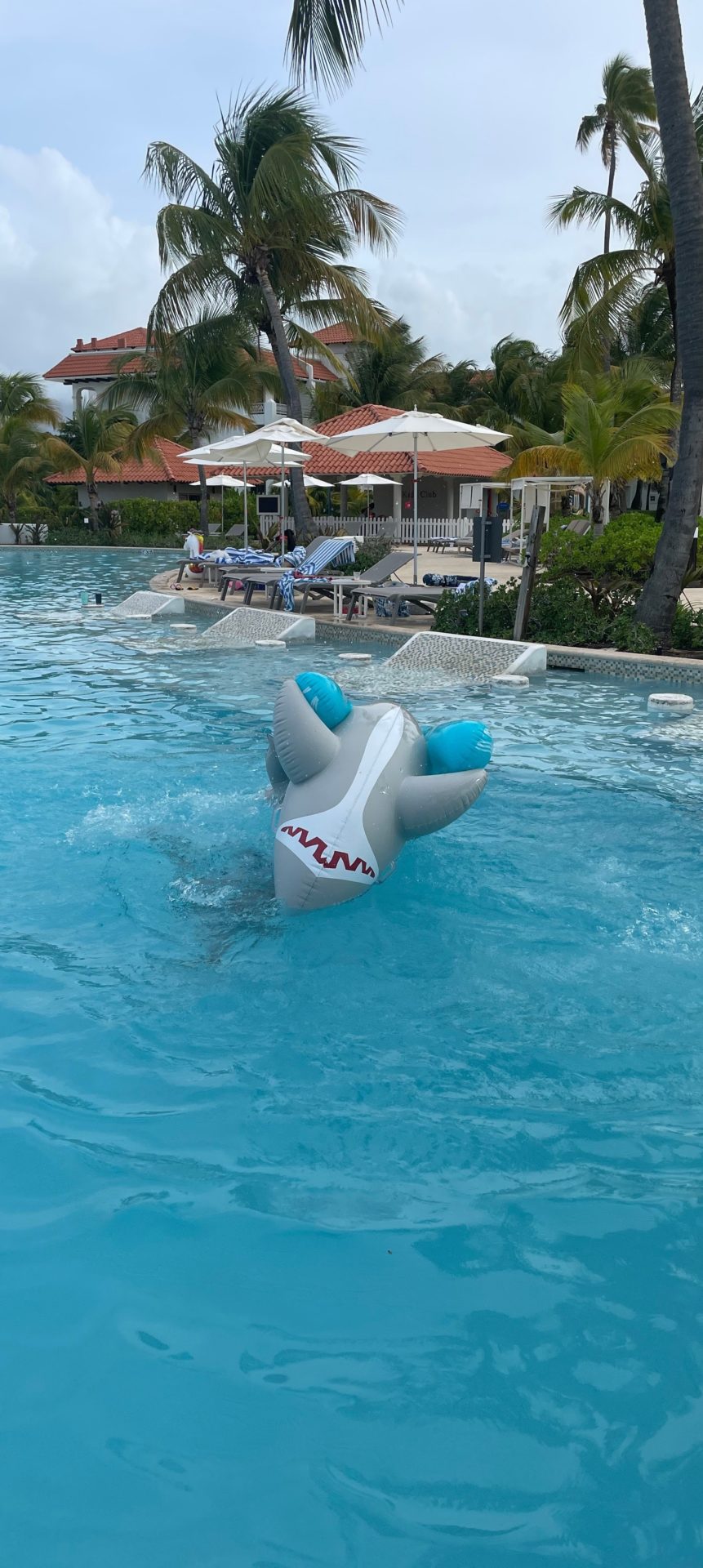 a inflatable shark in a pool