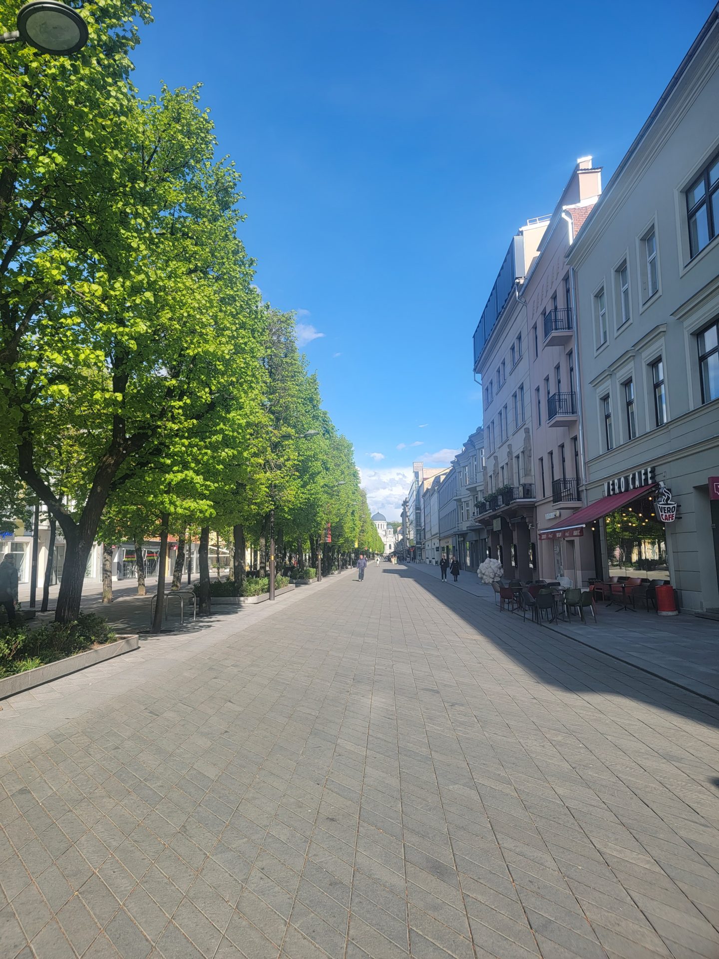 a street with trees and buildings