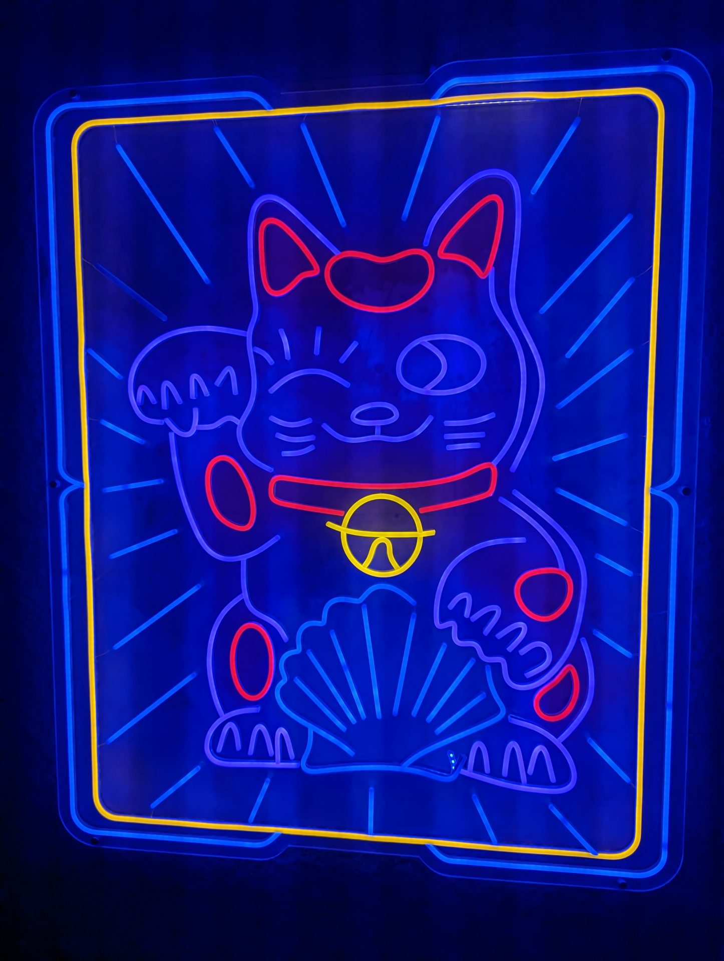 a neon cat on a blue background