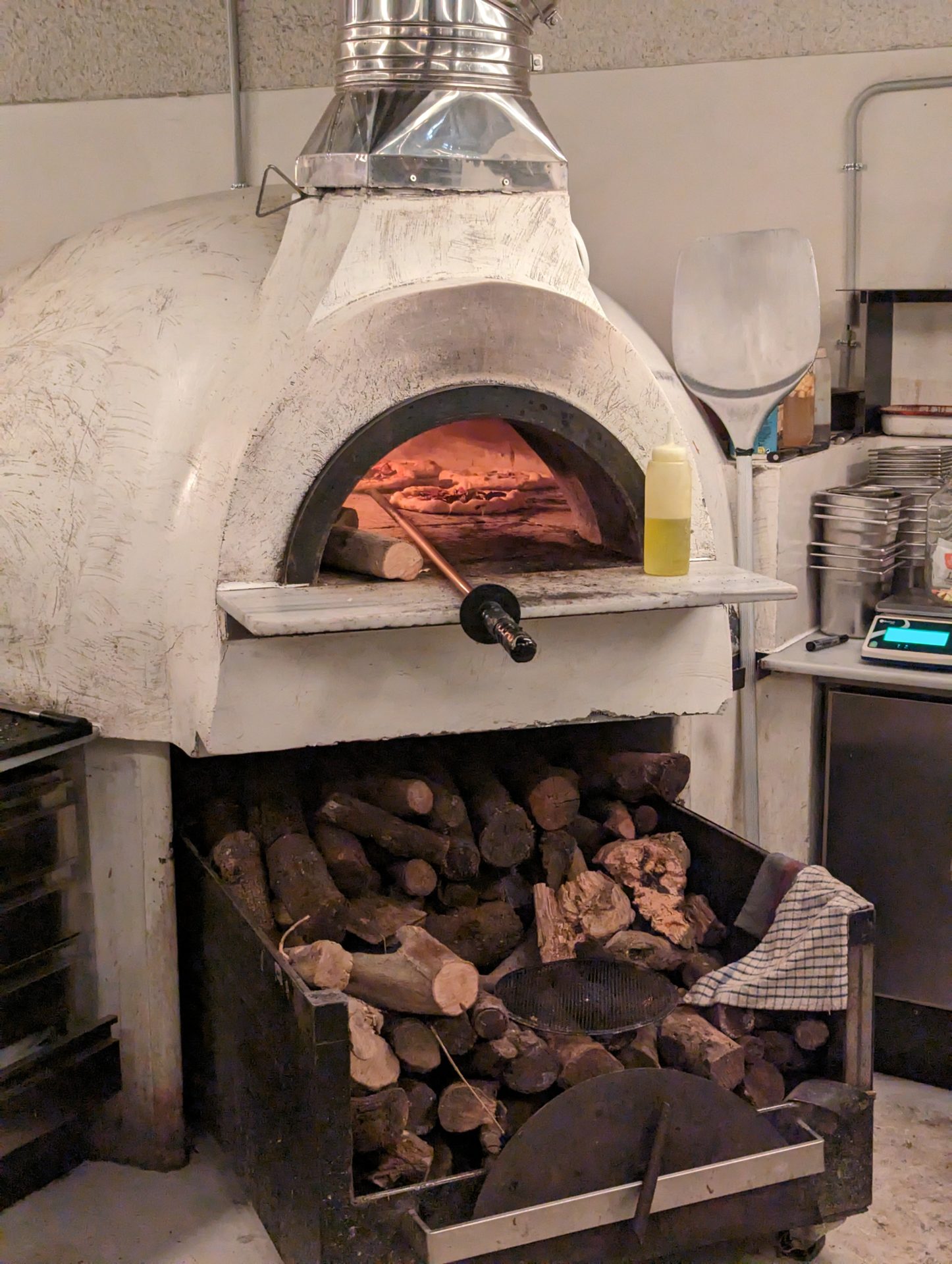 a wood burning oven with wood inside