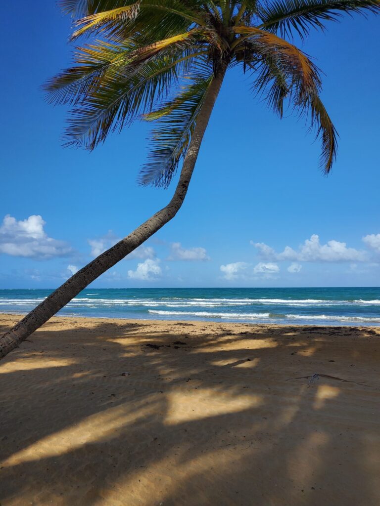 March Madness Surprise: Free Trip to Puerto Rico!