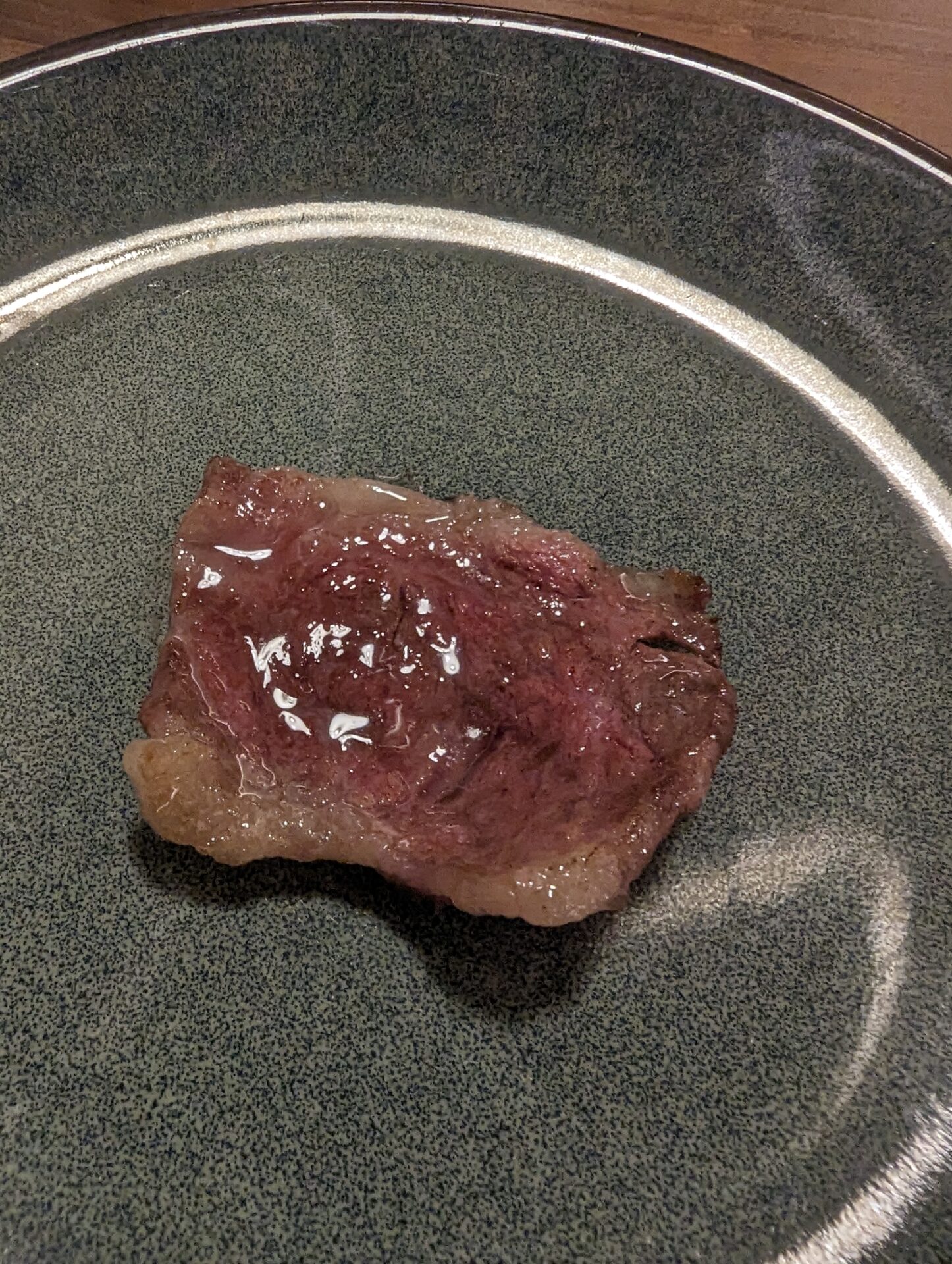 a piece of meat on a plate