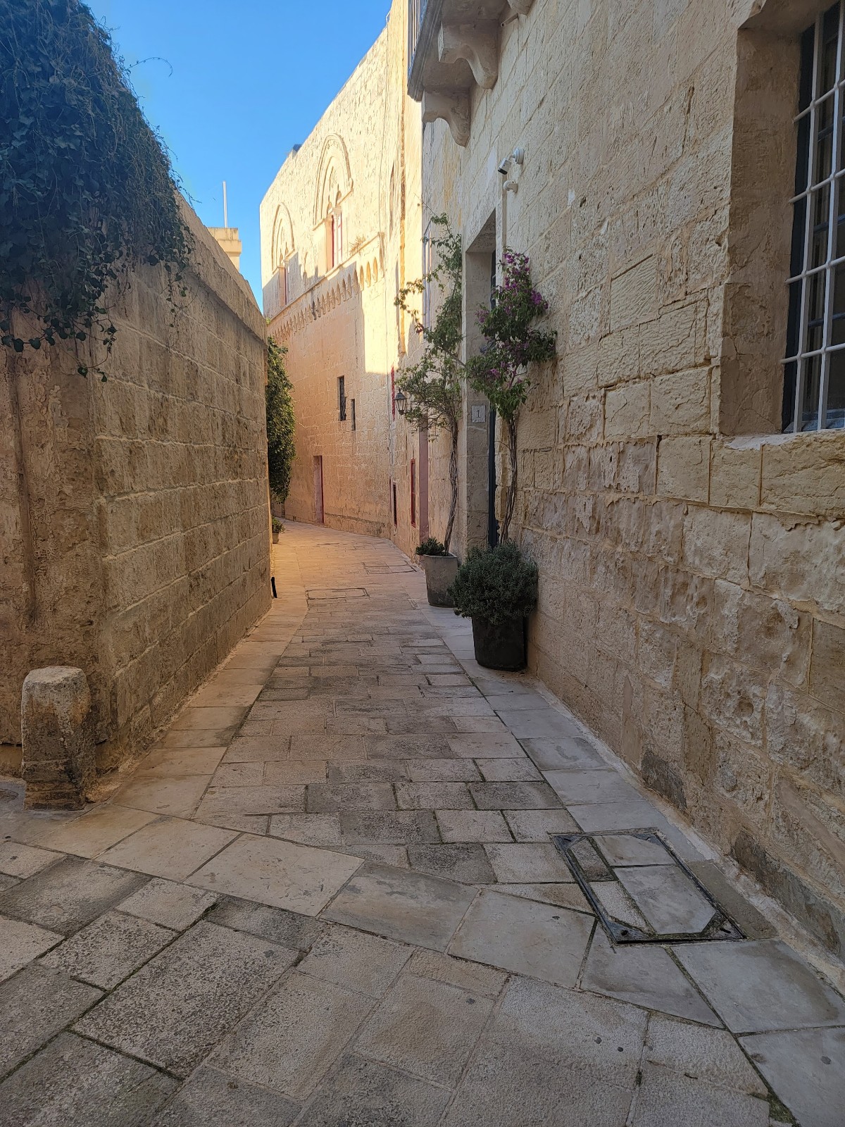 a stone alleyway with plants and windows