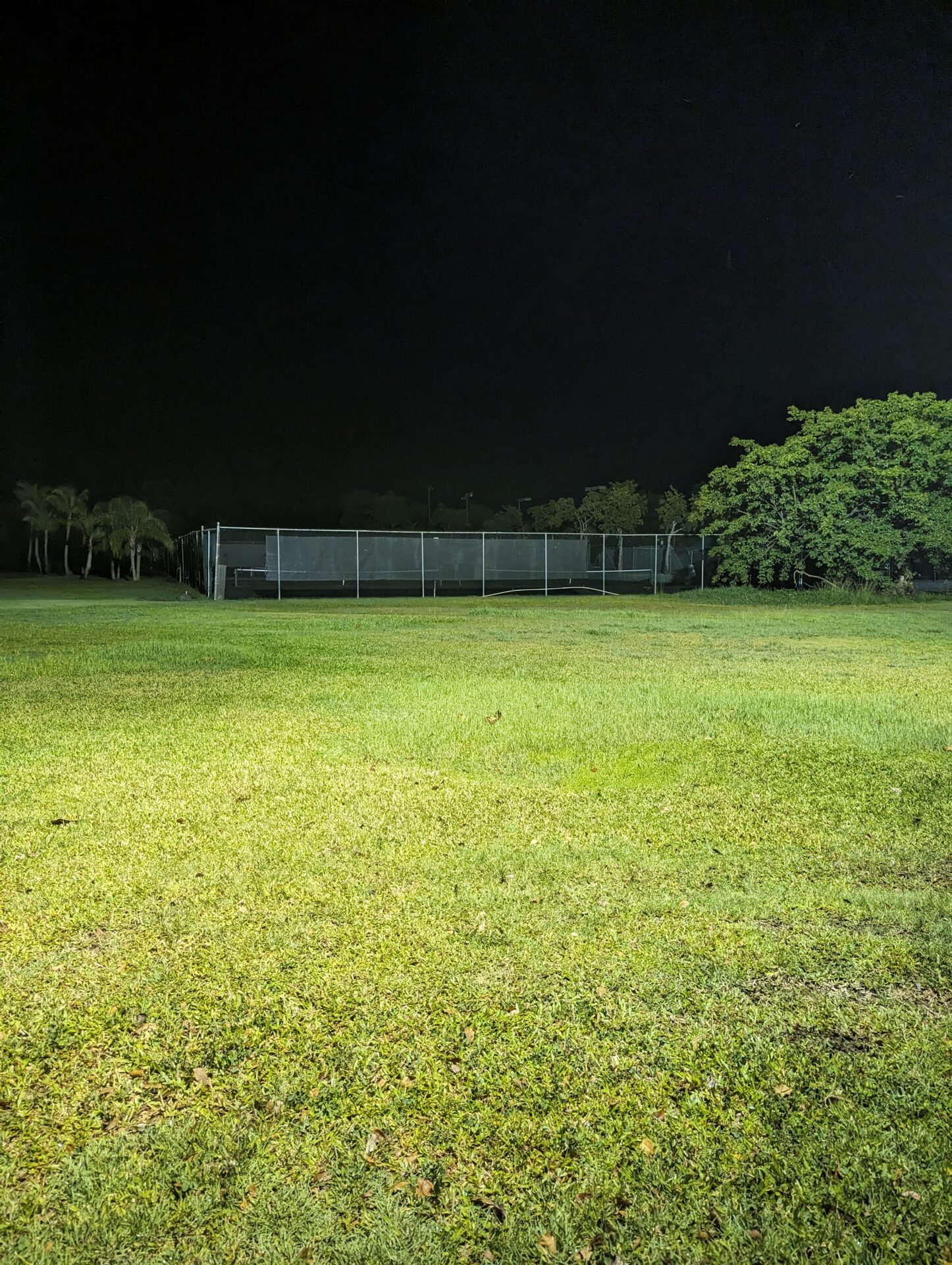 a grass field with trees and a fence at night