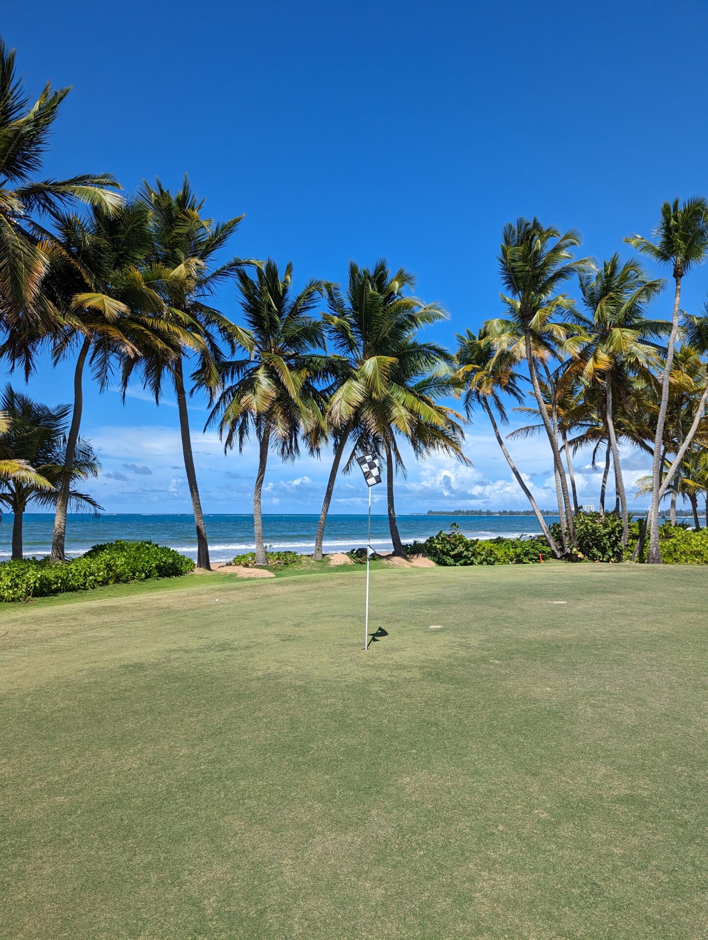a golf course with palm trees and a beach in the background