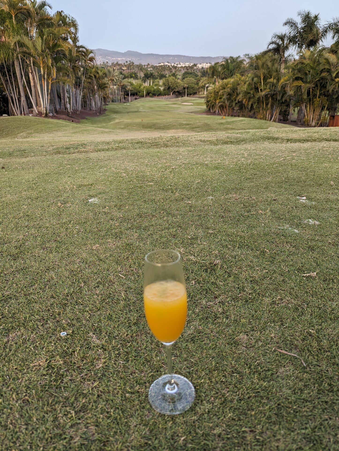 a glass of orange juice on a golf course