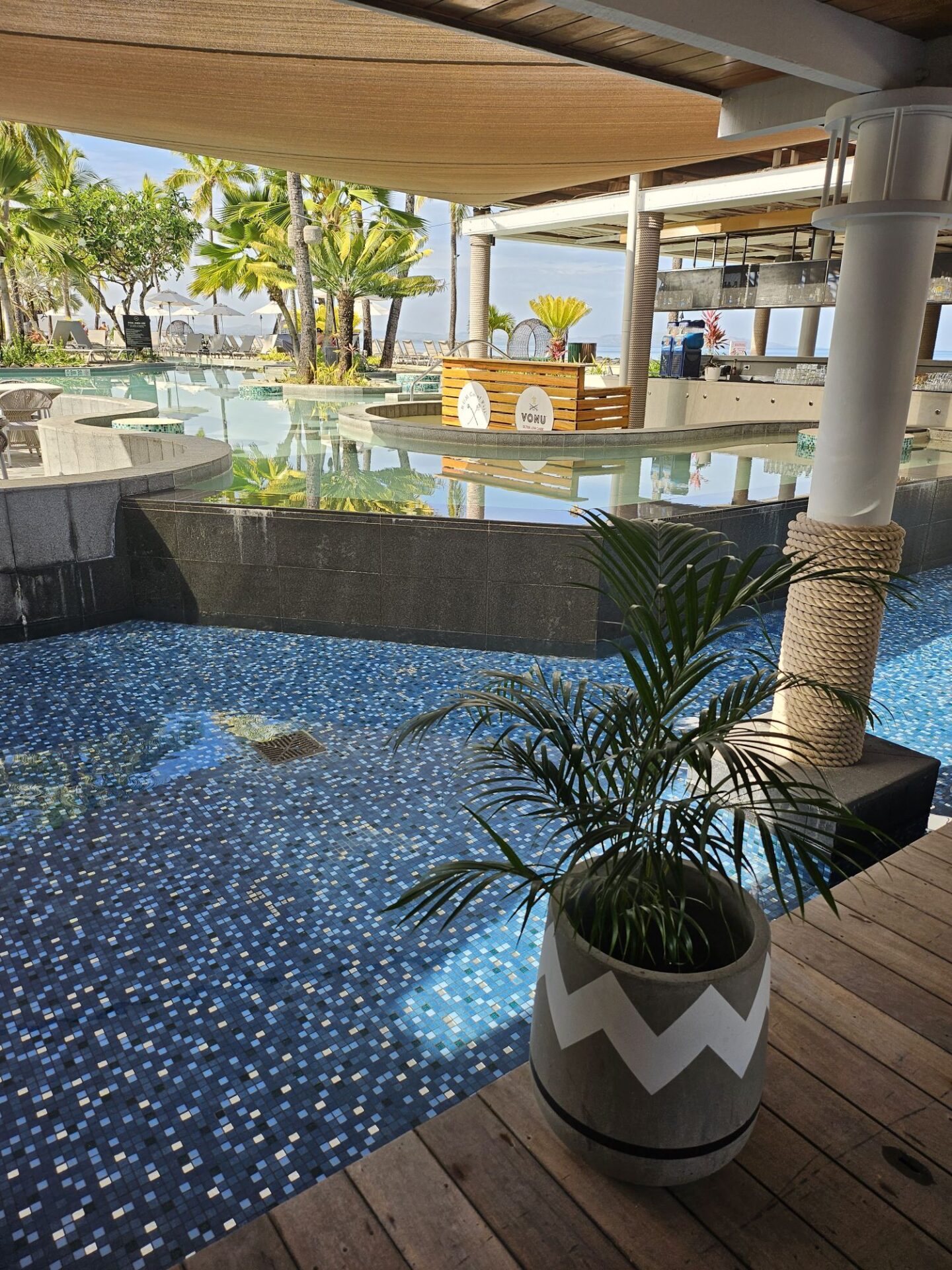a pool with a plant in it