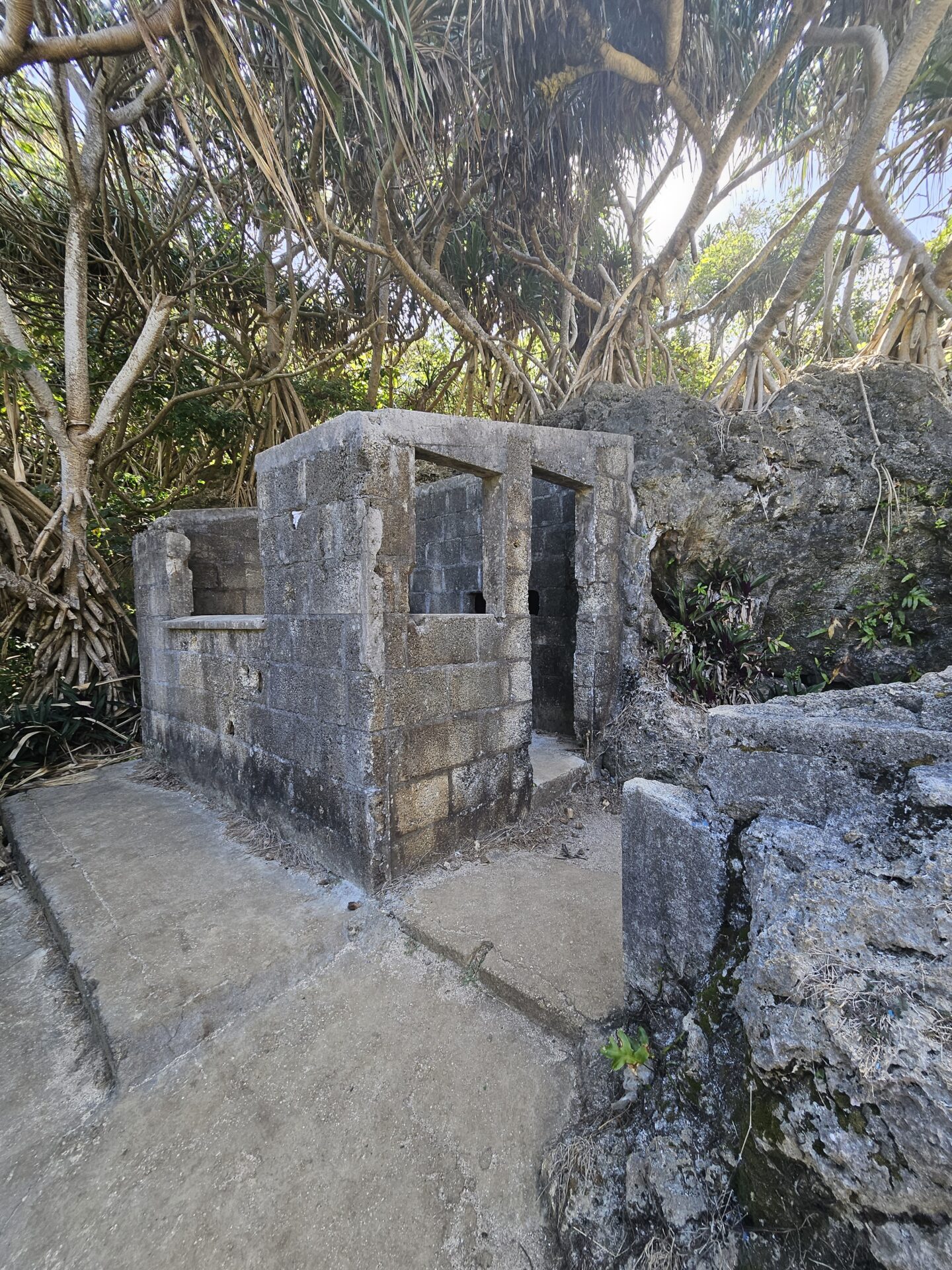 a stone structure in the woods
