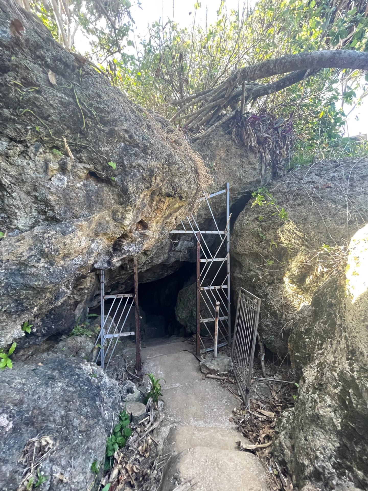 a metal gate in a cave