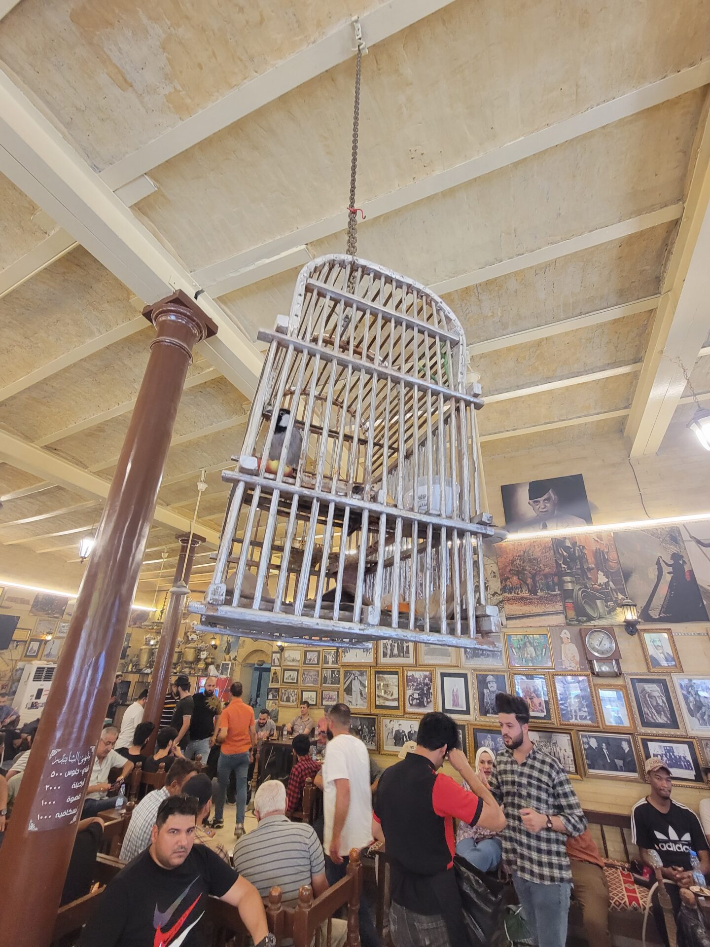 a bird cage from the ceiling