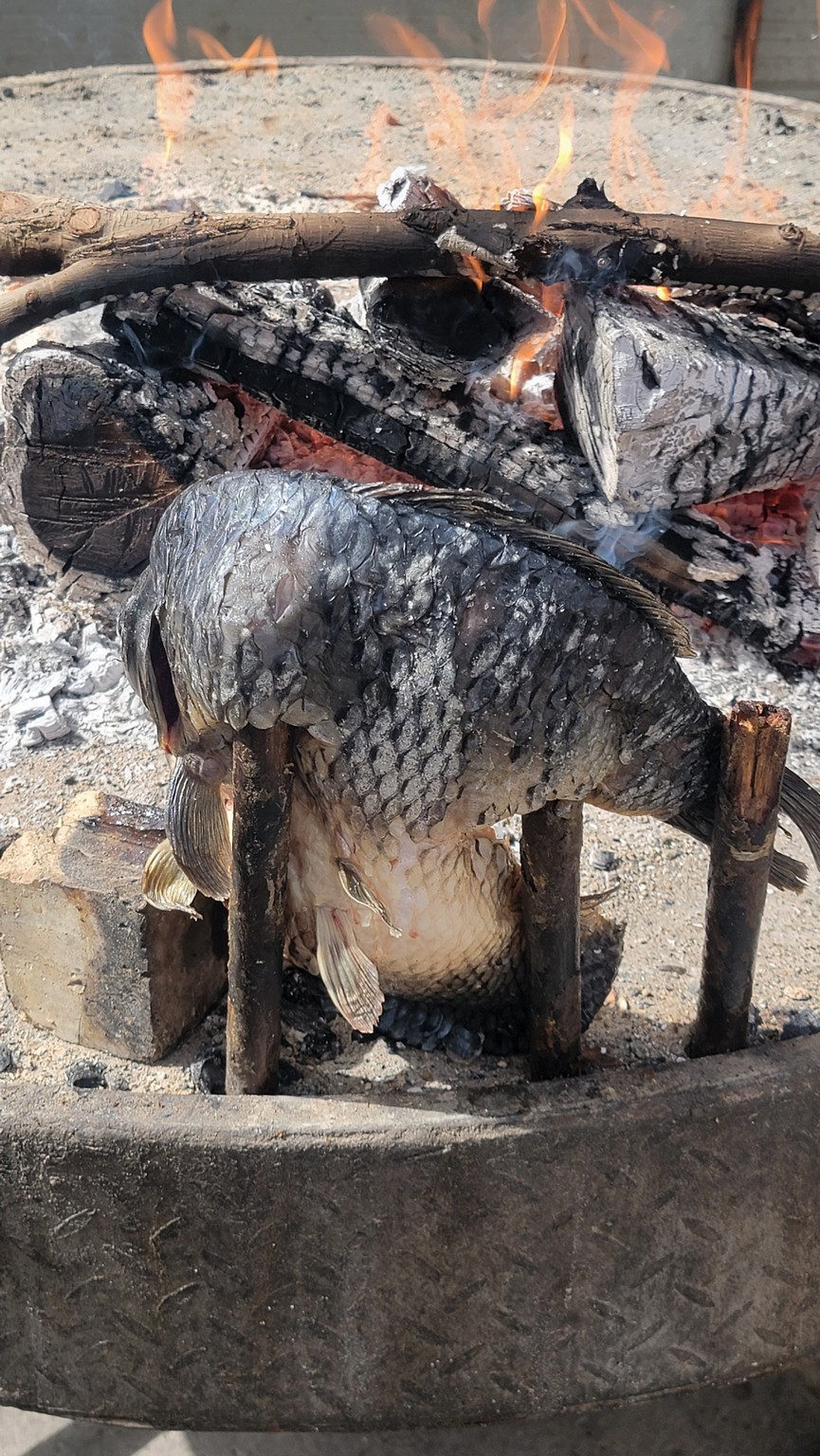 a fish on a stick over a fire