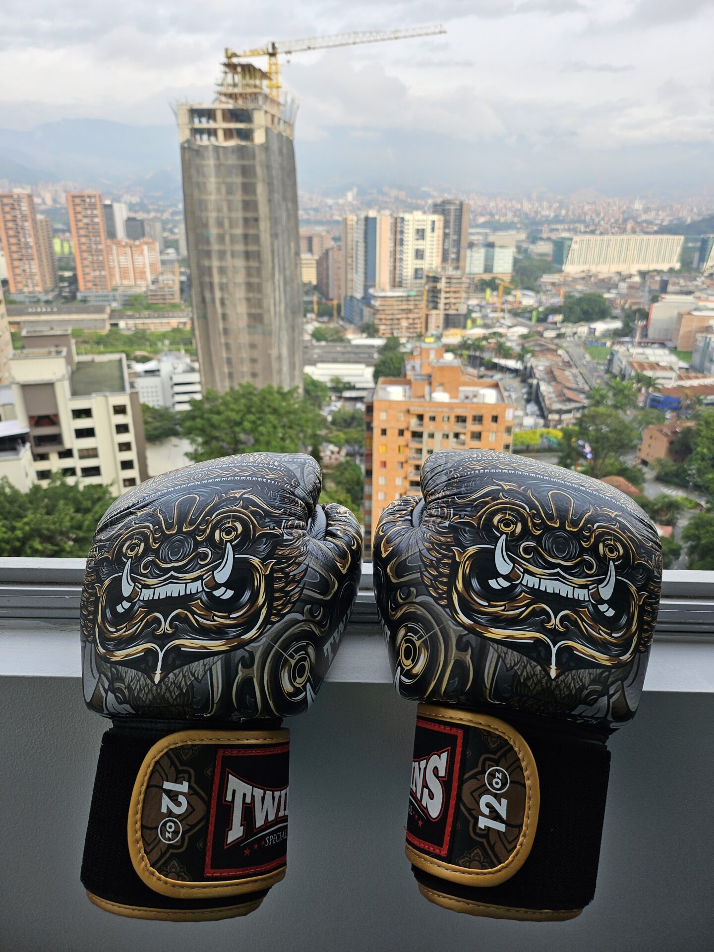 boxing gloves on a ledge with a city in the background