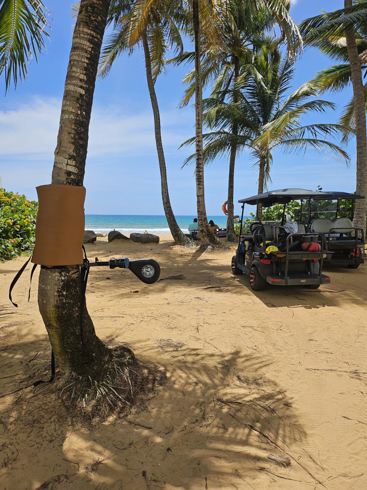golf carts on a beach