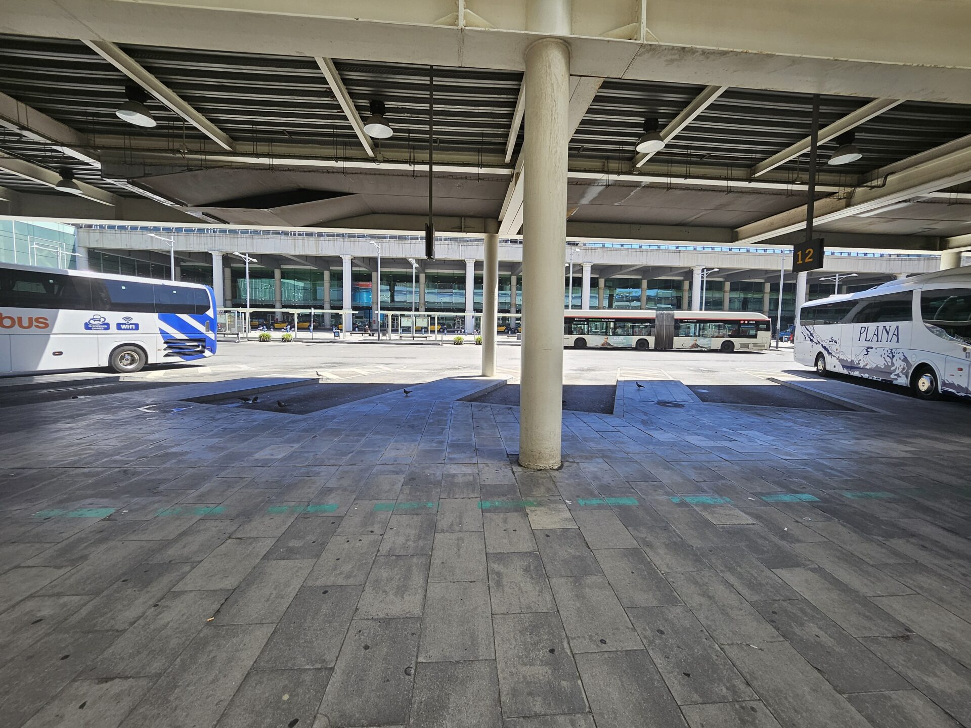 a group of buses parked in a parking lot