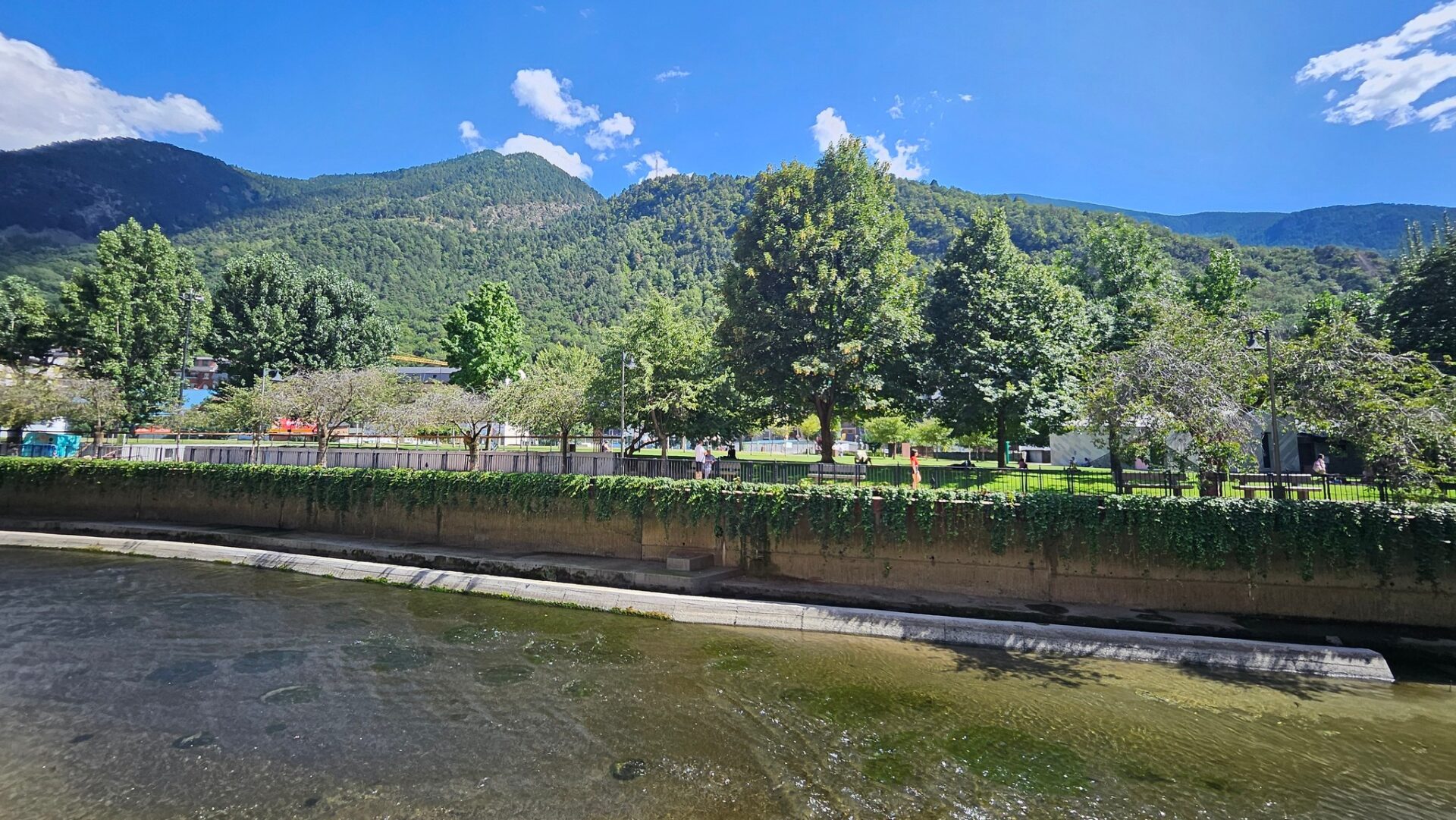 a river running through a park