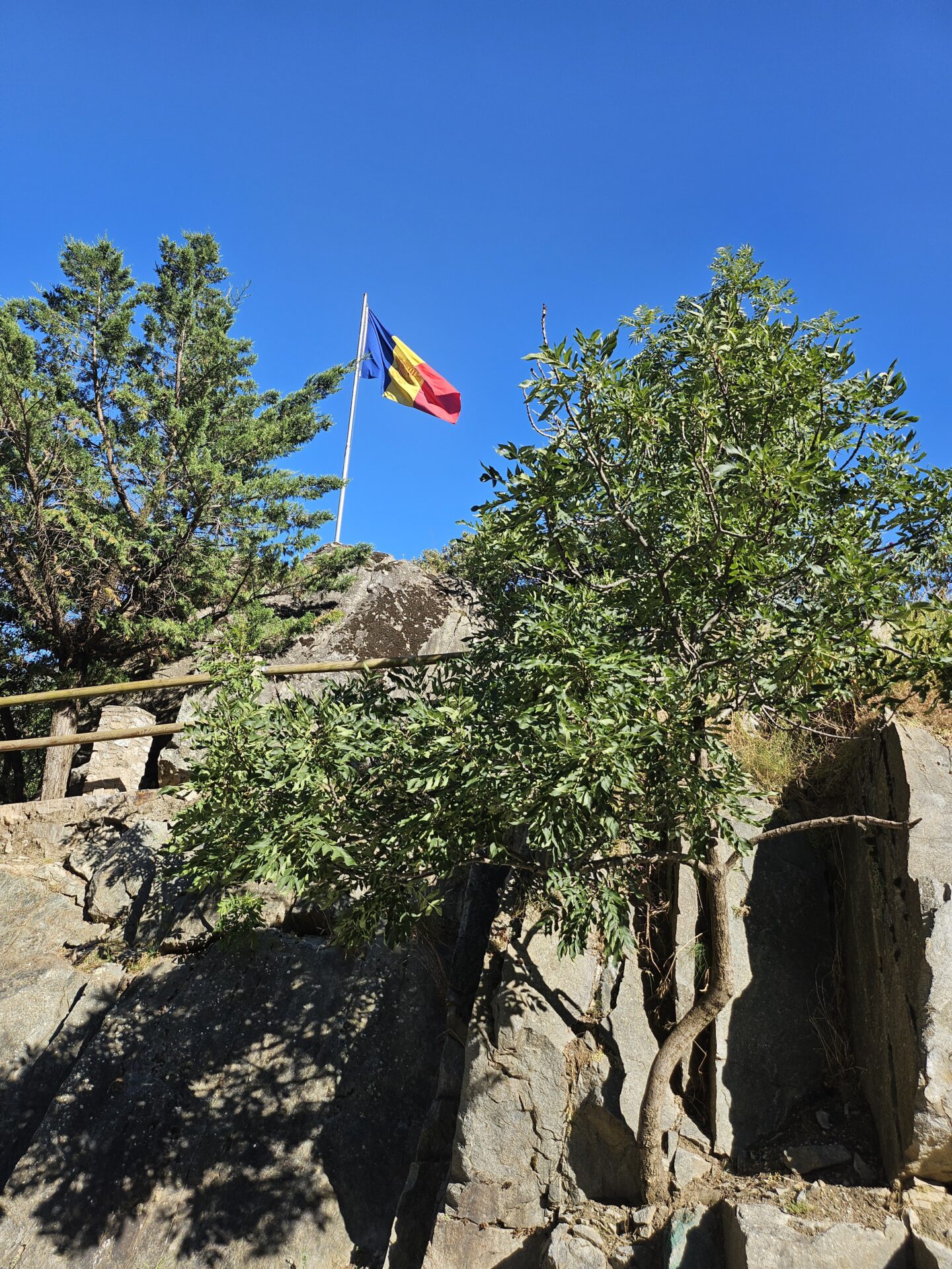 a flag on a pole with trees and a fence