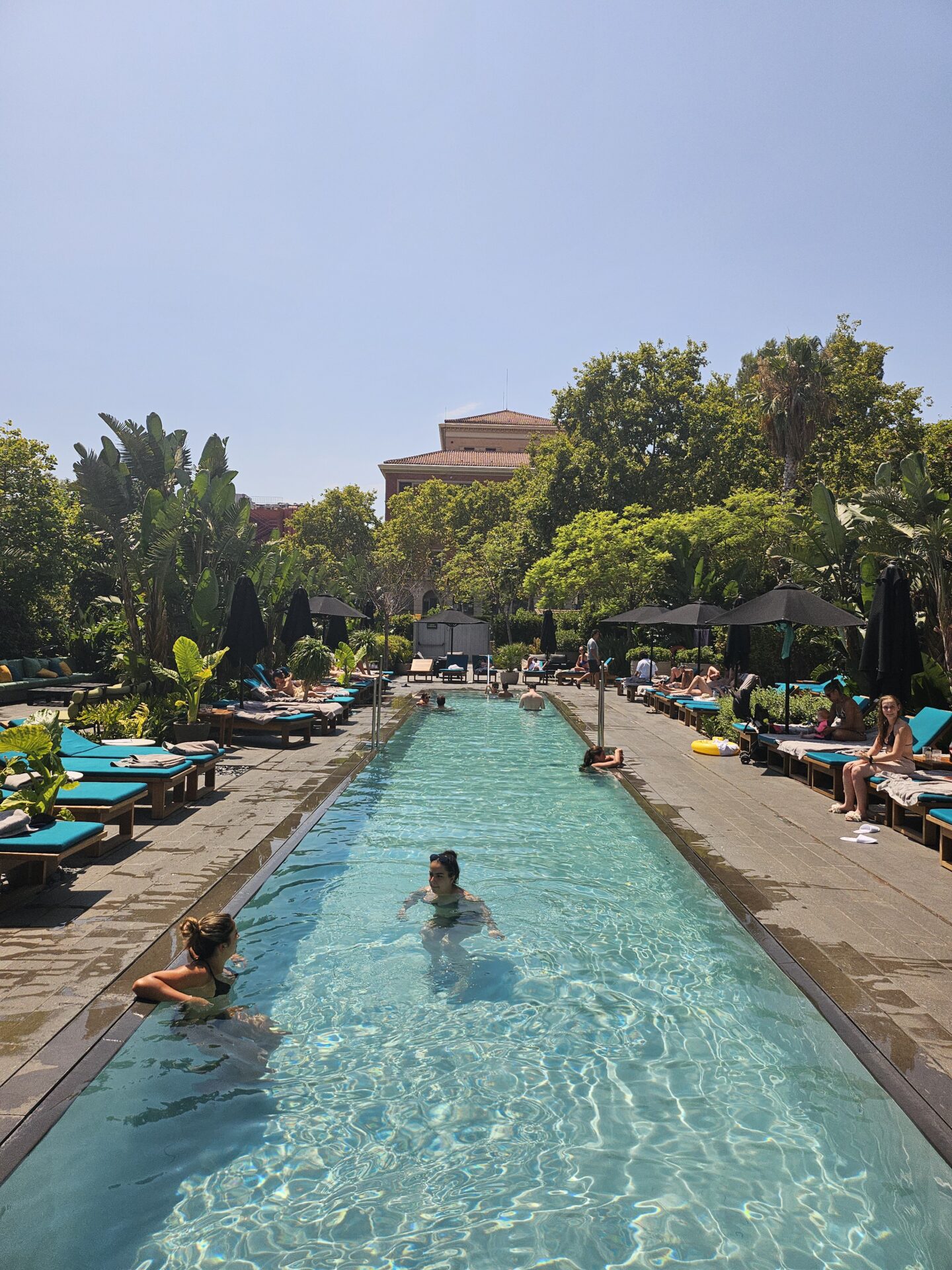 people in a pool