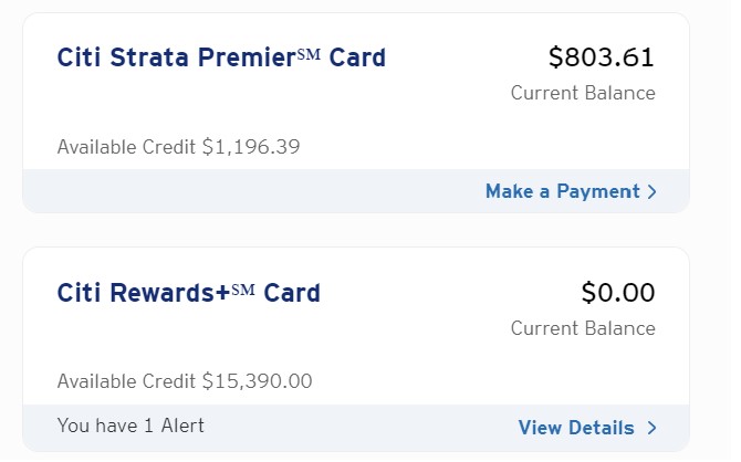 a screenshot of a credit card