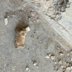 20220523_083648736_iOS