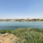 20220523_090226973_iOS