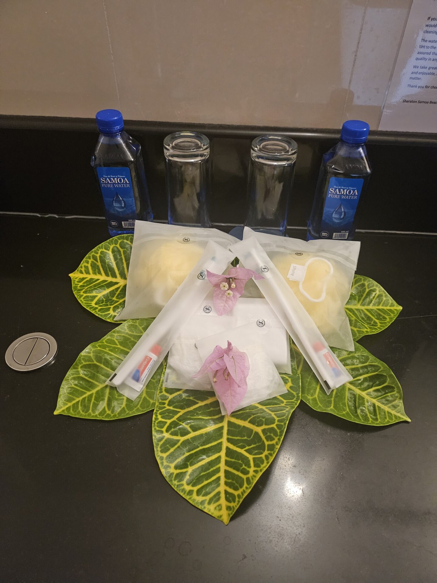 a group of bottles and a bag of food on a leaf